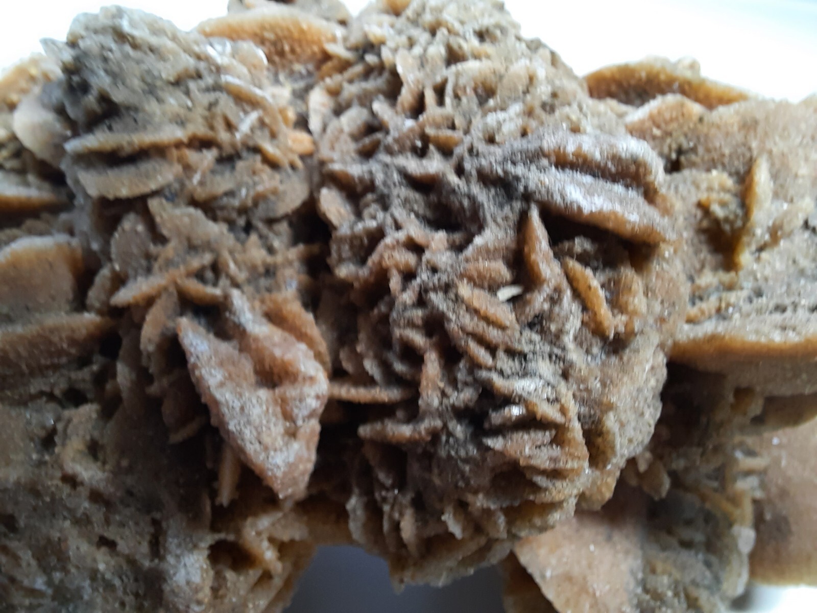 LARGE DESERT ROSE GYPSUM 6 1/4 x 3 1/2 x 2 1/4 Rock Mineral Crystal Stone