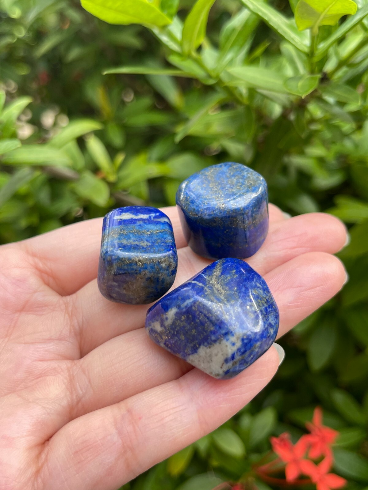 Grade A++ Lapis Lazuli Tumbled Stone, 0.75-1 Inch Lapis Crystals, Wholesale Bulk