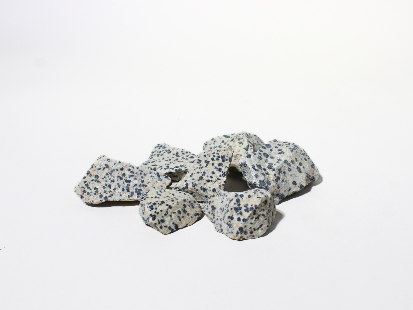 Dalmatian Jasper – Rough Rocks for Tumbling – Bulk Wholesale 1LB options