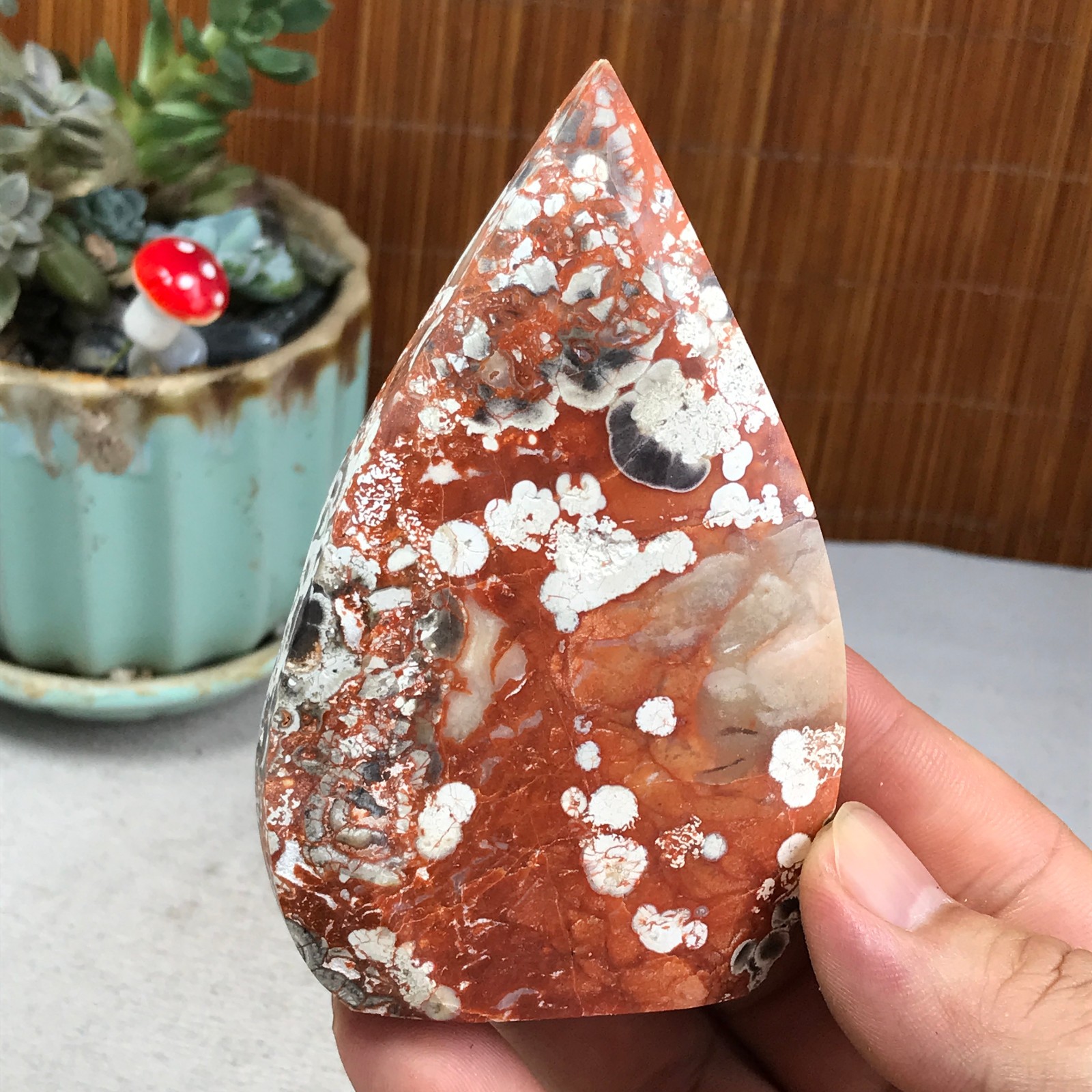 Natural money Mexico agate hand carve leaf Crystal Specimen free standing A6266