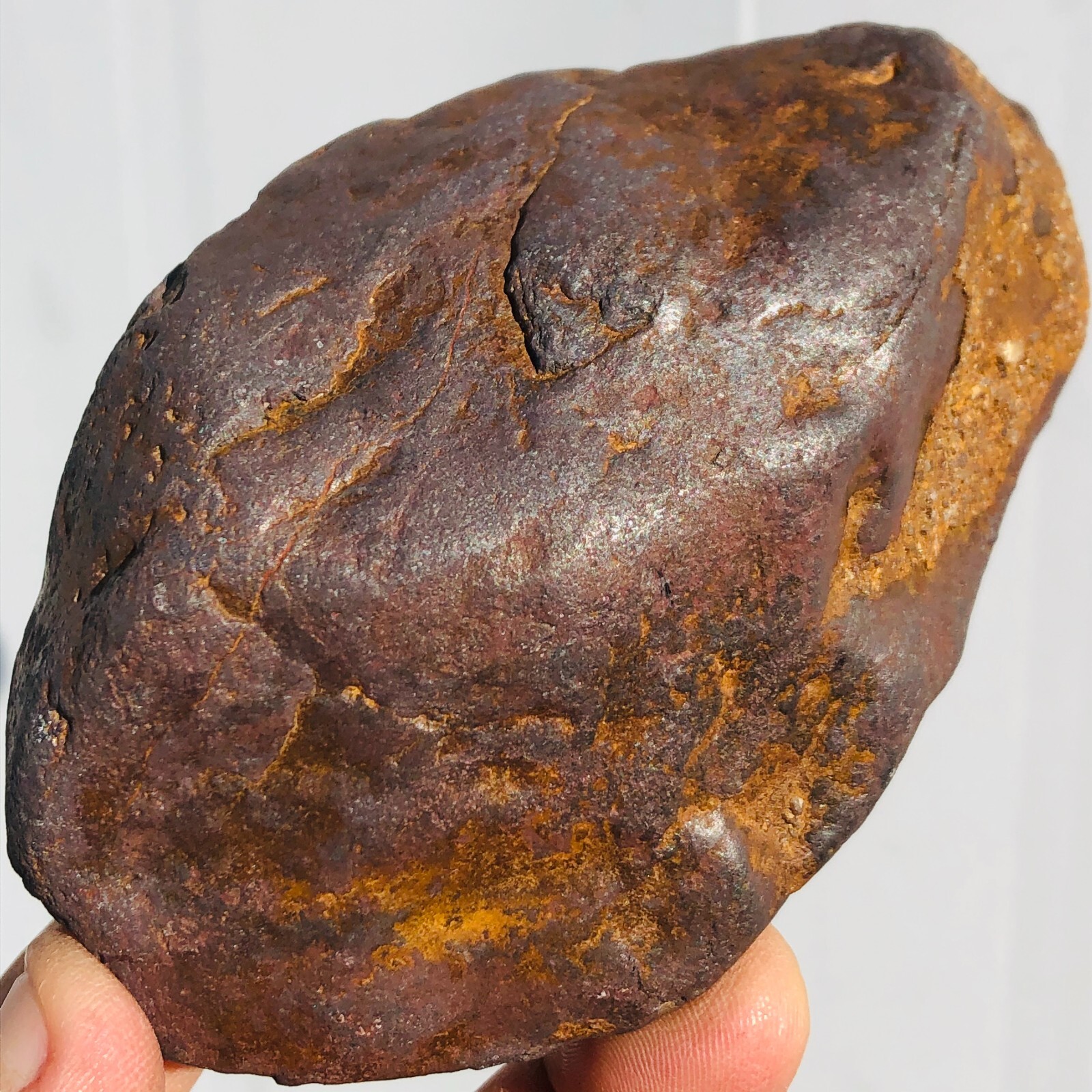1.62lb STONY IRON H CHONDRITE METEORITE Polished Carved Space Rock Specimen