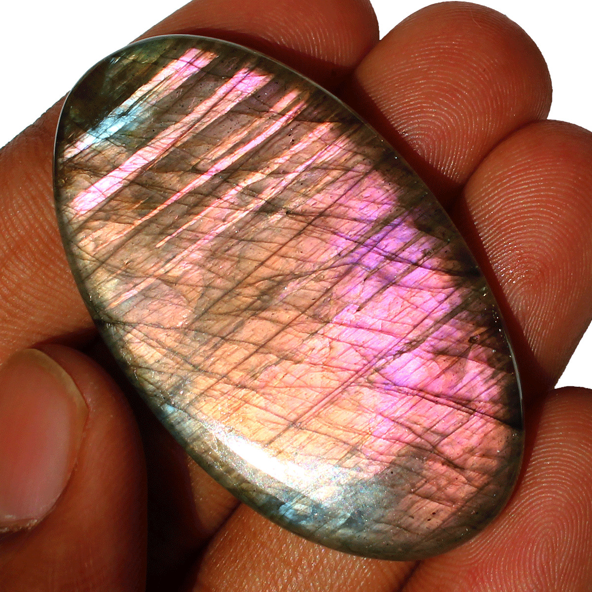 4 PC Natural Labradorite Multi Purple Flash Collectible Gem Crystal Palmstones