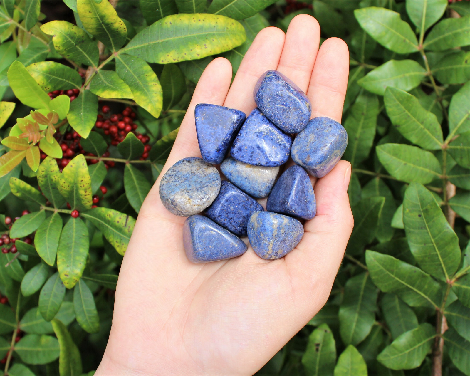 Wholesale Bulk 1/2 lb lot Dumortierite Tumbled Stones Crystal Healing Gemstone