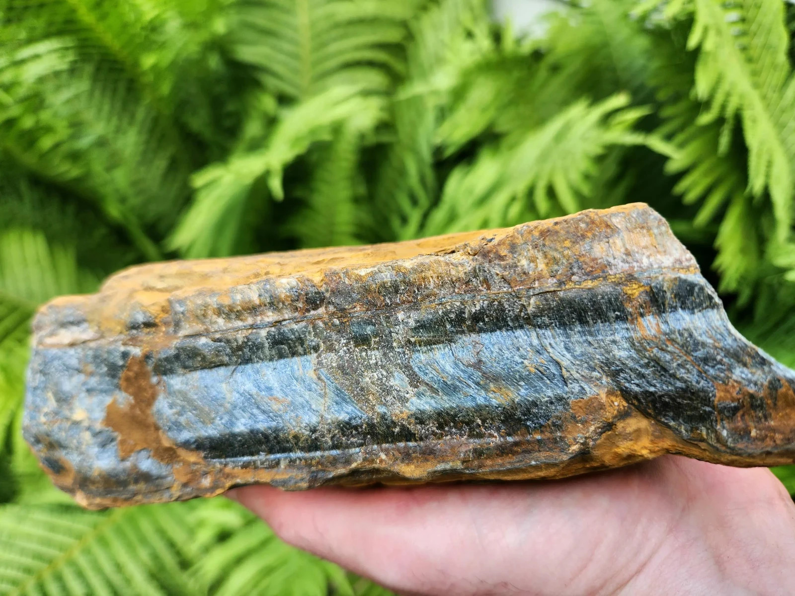 5 lb 11 oz Rough Blue Tiger’s Eye Stone. Ideal for Lapidary. Luminescent