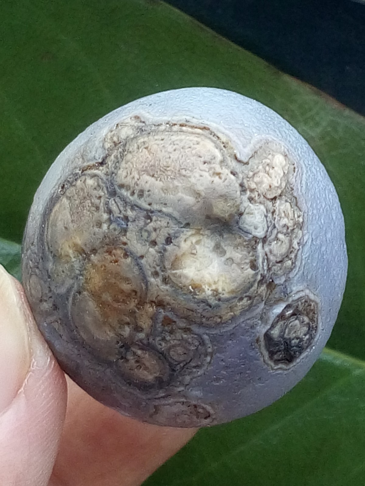 36mm Natural agate Gobi agate eye agate stone collection Landscape stone
