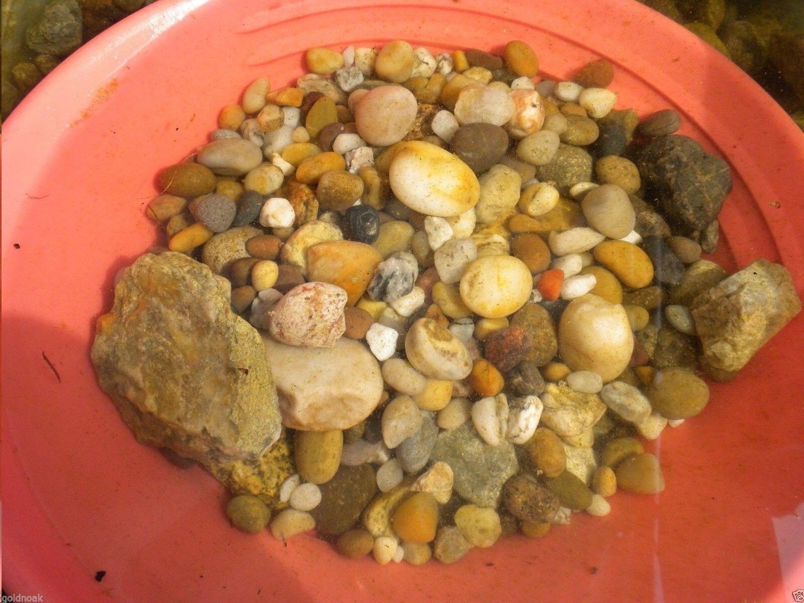 WASHINGTON MIXED ROUGH RIVER AND MOUNTAIN ROCKS FOR CRAFTS, NOT POLISHED!