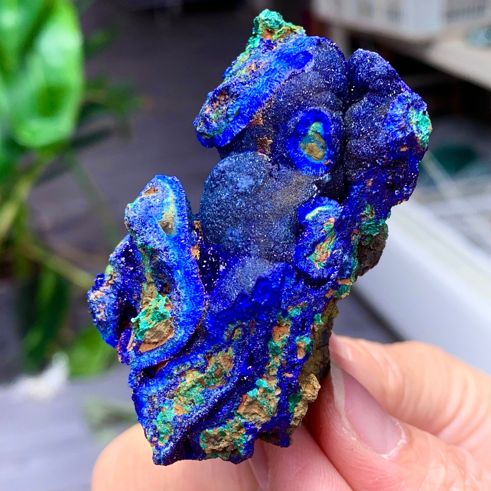 102G BEST Natural Azurite/Malachite crystal minerals specimens