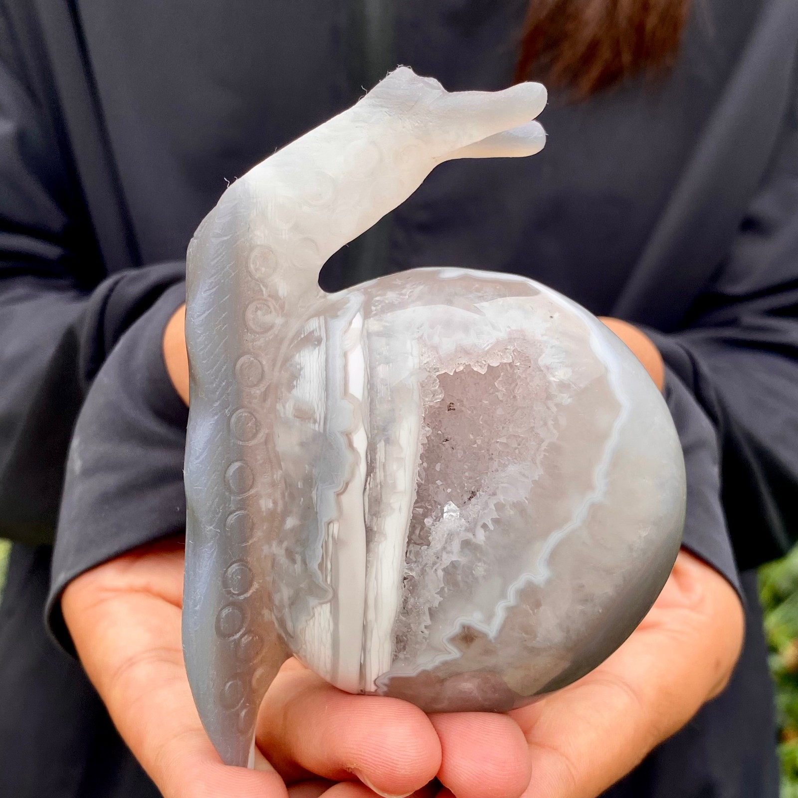 269G Natural Ocean Agate Snail Hand Carving Gemstone Ornament Home Decoration