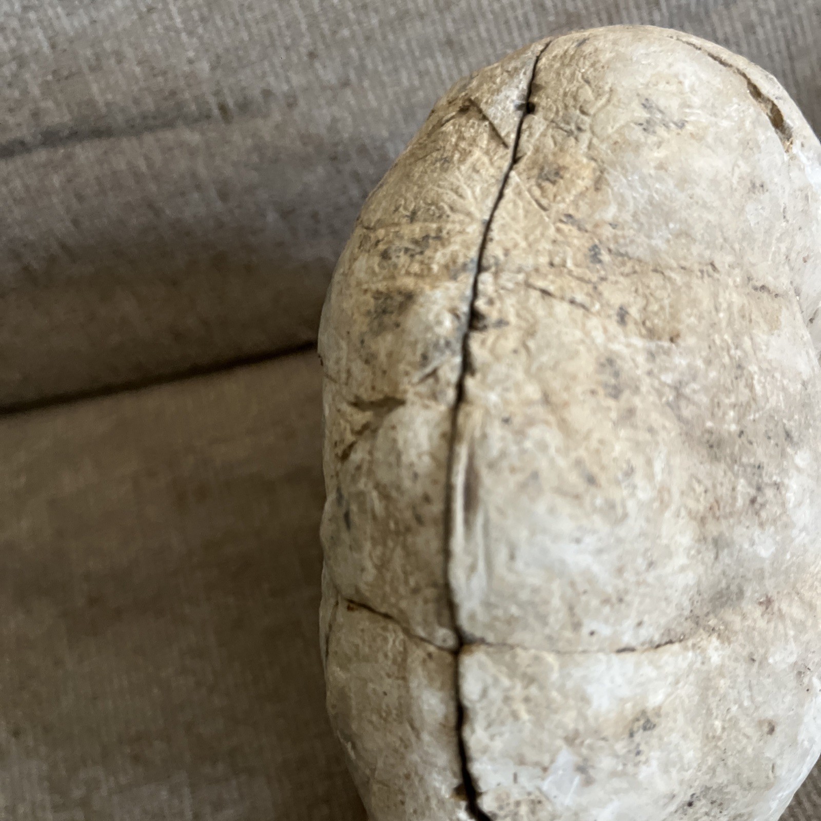 Larger Cut SEPTARIAN Nodule Half With a Lightning Like Pattern! Utah 2 Lbs