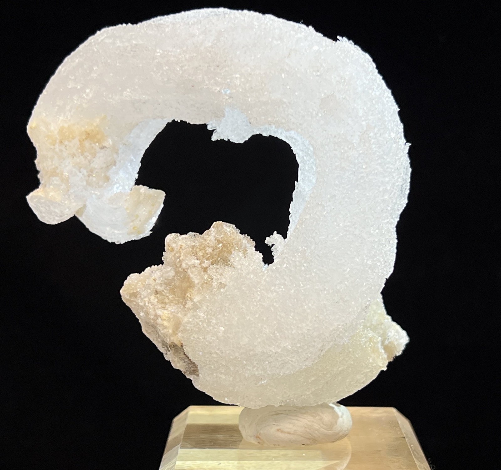 76mm ‘Ram’s Horn’ shape Selenite (Gypsum), Natural Mineral Specimen