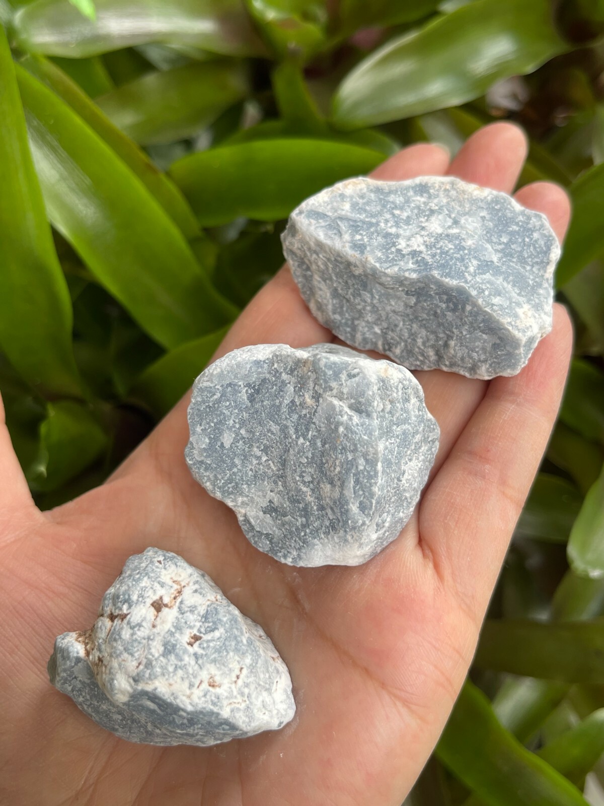 Angelite Raw Stone 1.5-2 Inches, Natural Rough Angelite, Wholesale Bulk Lot
