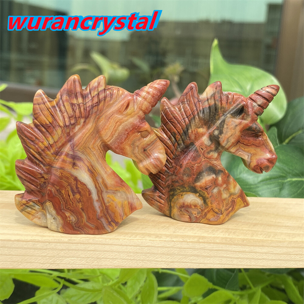 1pc Natural crazy agate unicorn skull quartz crystal carved reiki healing 2”