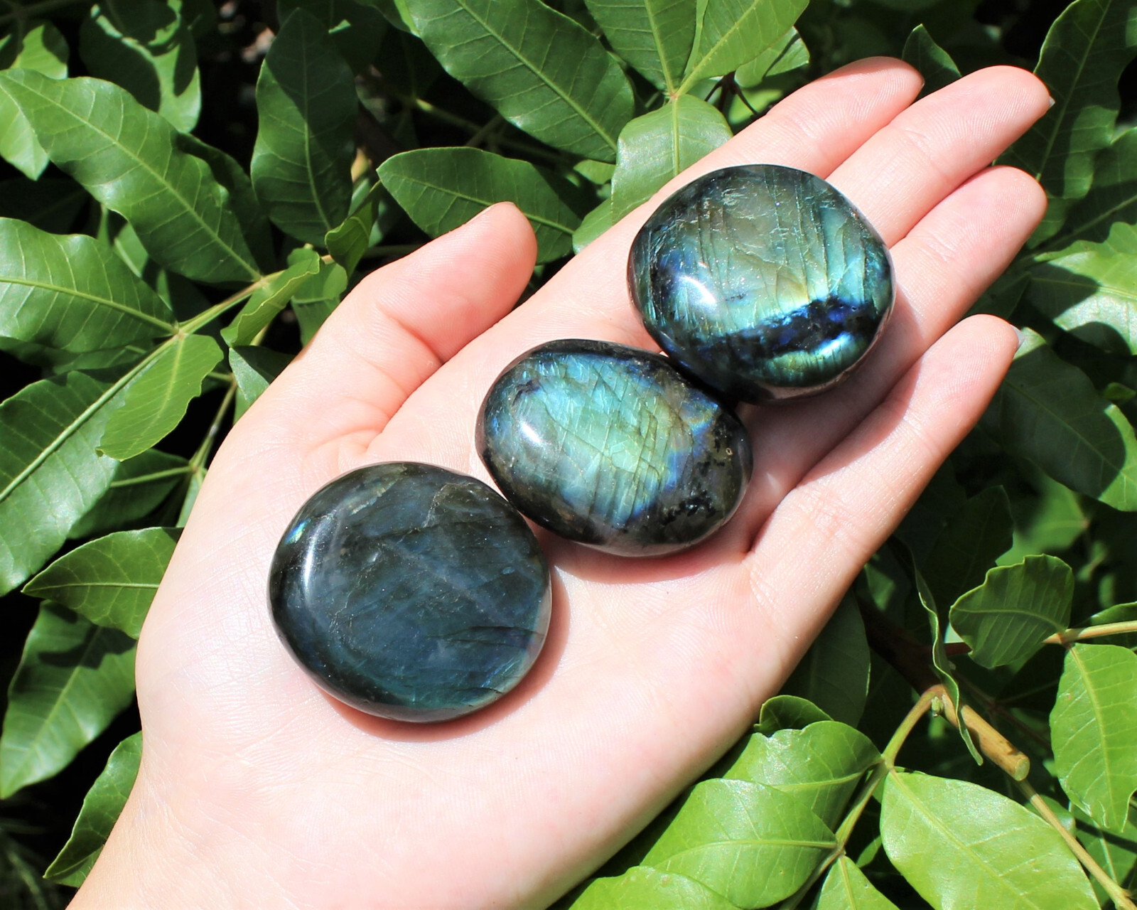 Labradorite Palm Stones – Hand Polished Labradorite Pebbles, Wholesale Bulk Lot