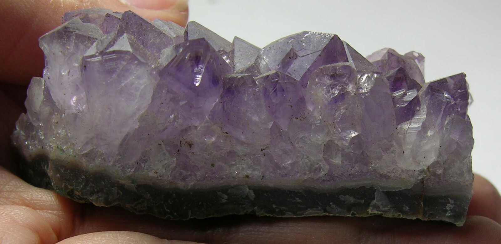 #8 2 3/8 in 100% Natural Brazilian Amethyst Crystal Cluster Specimen 72.00mm