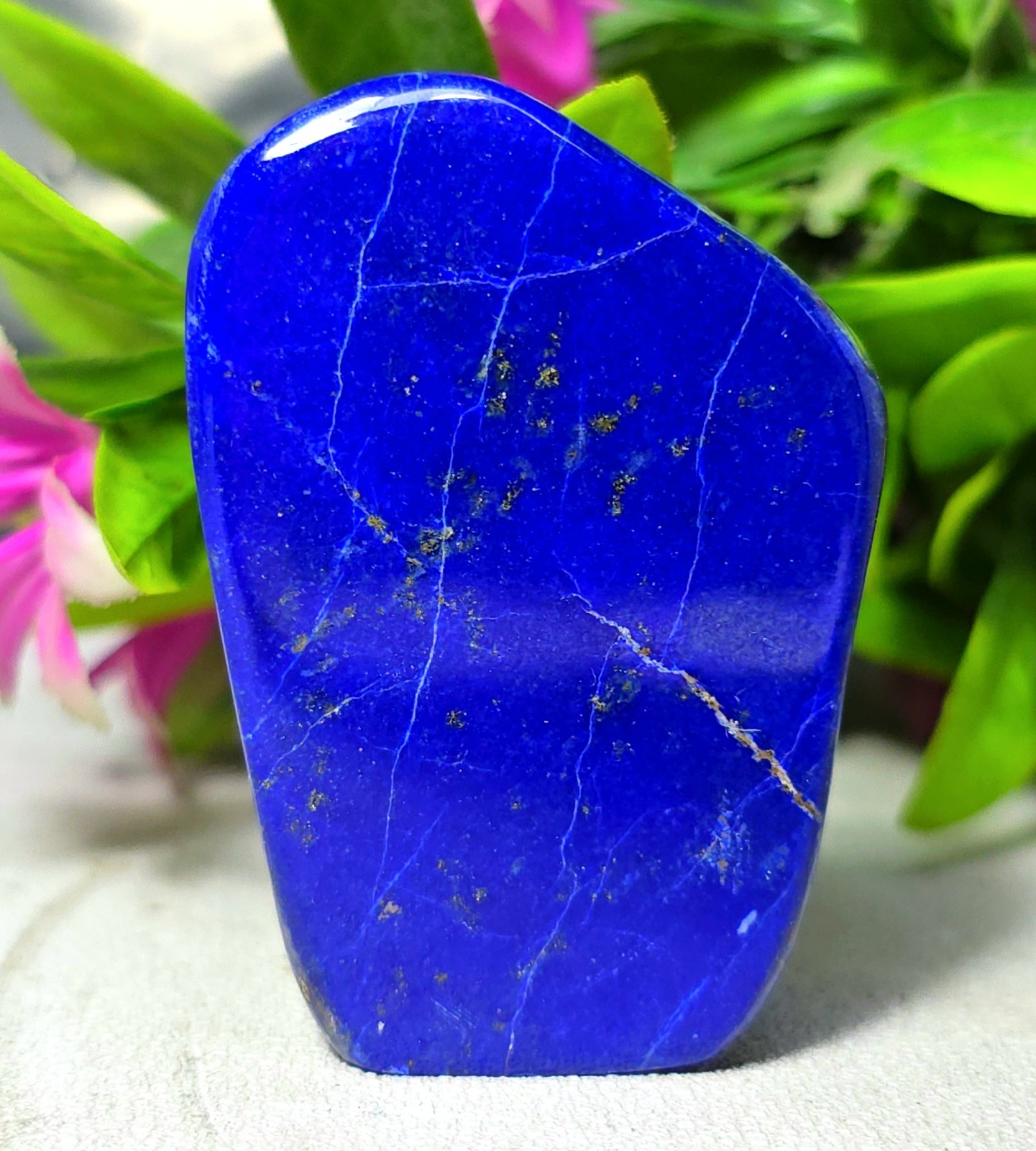 Rare AAA Lapis Lazuli Freeform Polished Stone Deep Blue Crystal Display