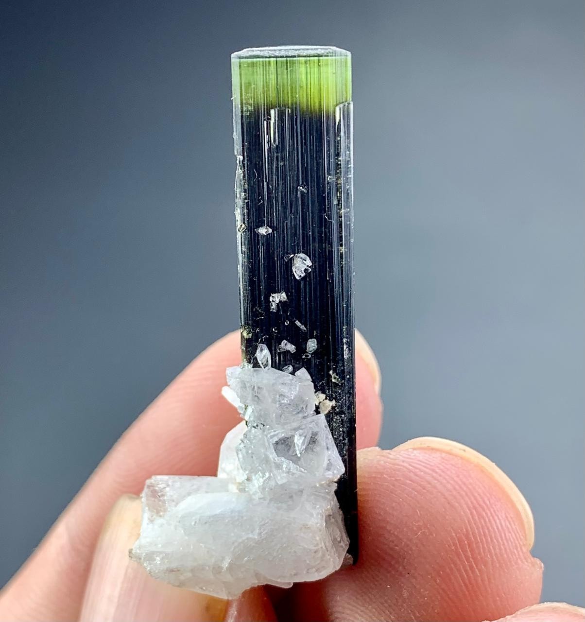 Natural Green Cap Tourmaline Crystal Specimen Lot Skardu Pakistan Minerals