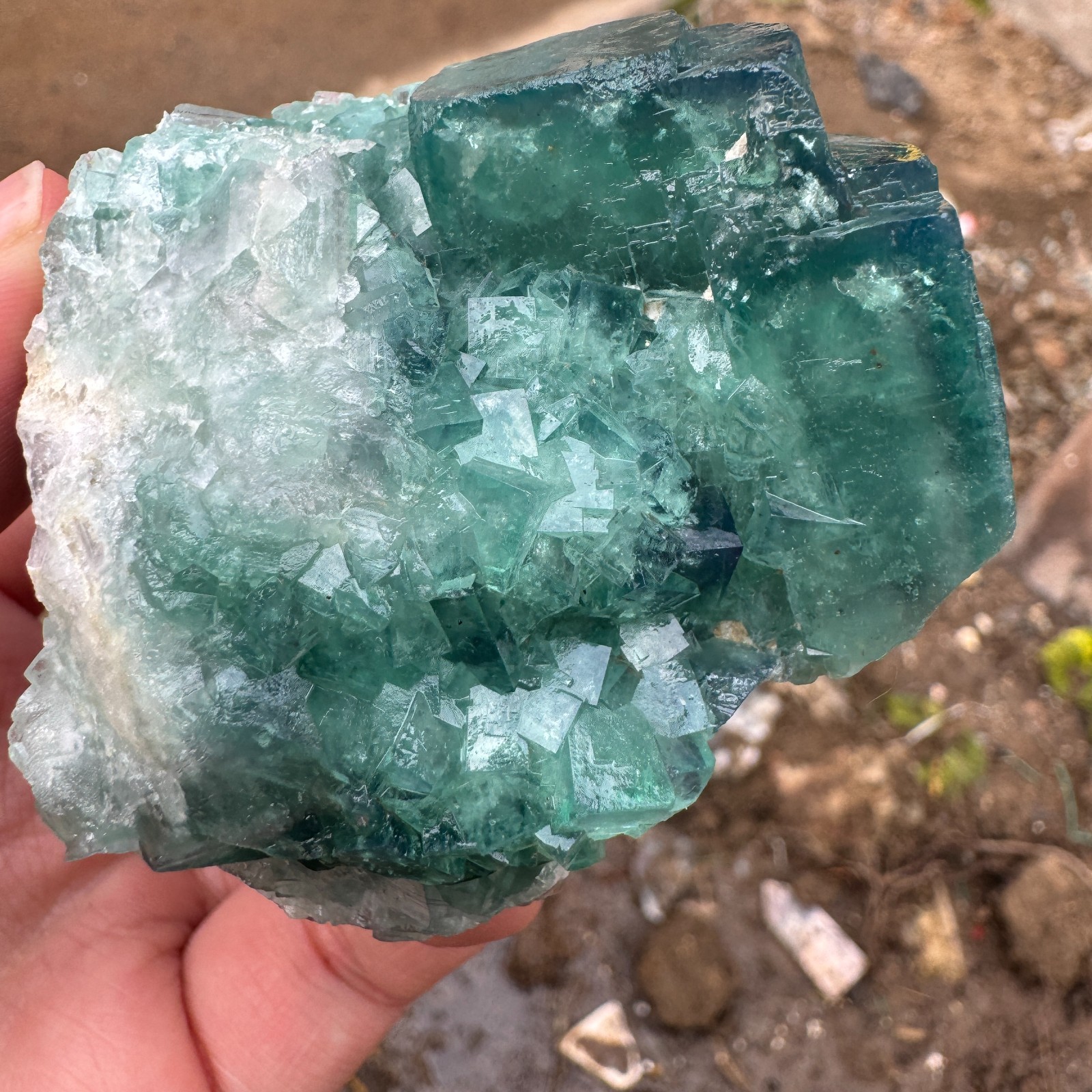 220G Natural cubic green fluorite crystal cluster rough mineral specimen Healing