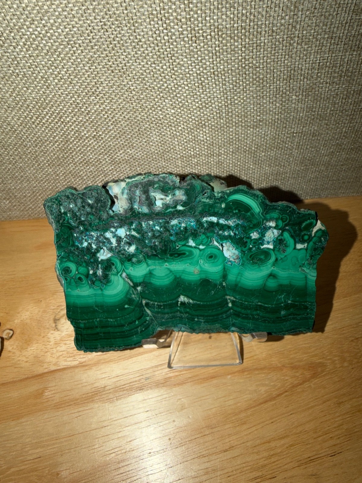 Malachite Polished Slab • Natural Green Banded Stone • 5.25” Collector Display