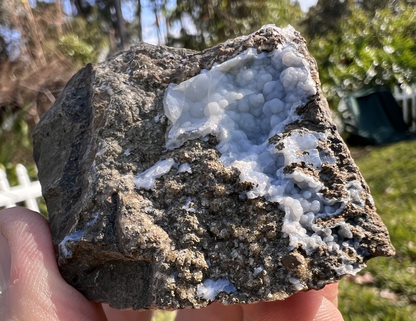 Botryoidal Blue Chalcedony Vug – Gleichenberg, Austria – 165 Grams