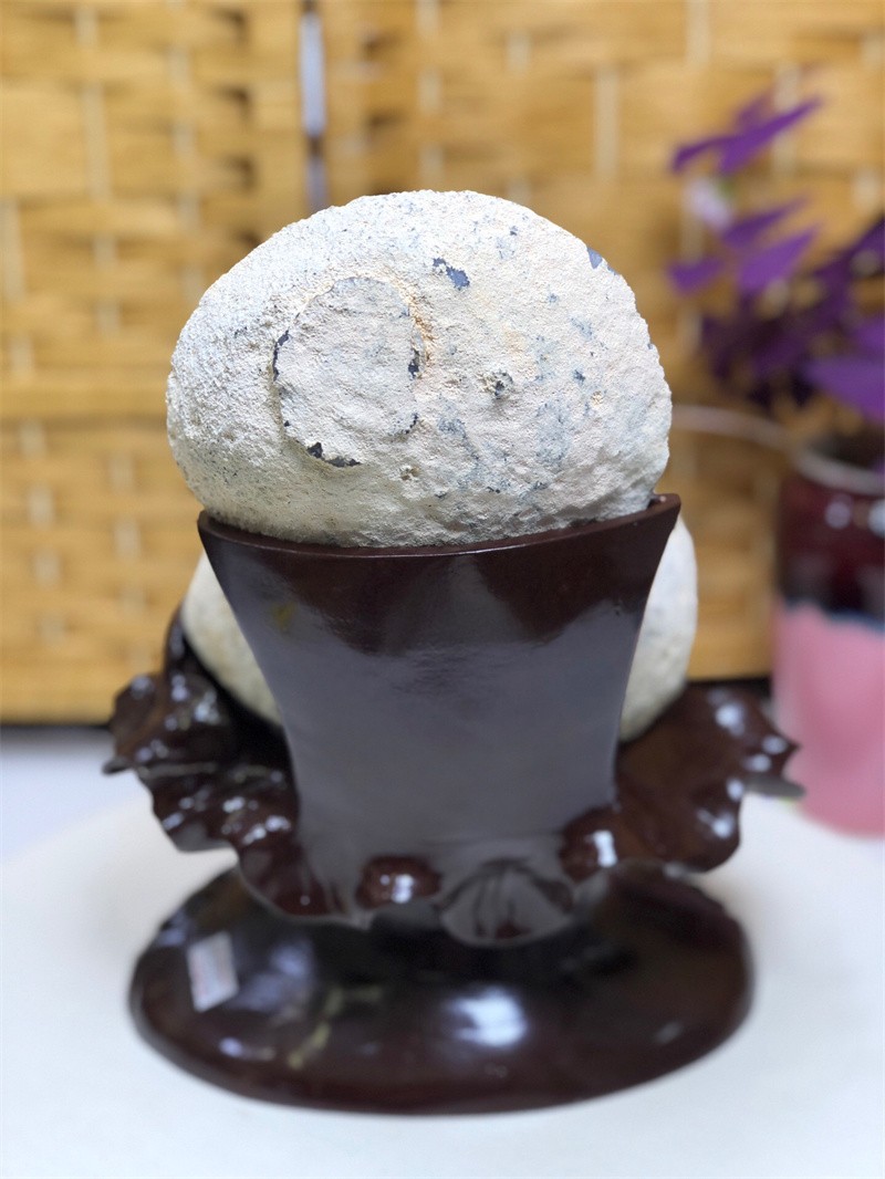 6.75LBNatural Agate Crystal Geode Quartz Bowl Wealth Spirit Energy Healing+Stand