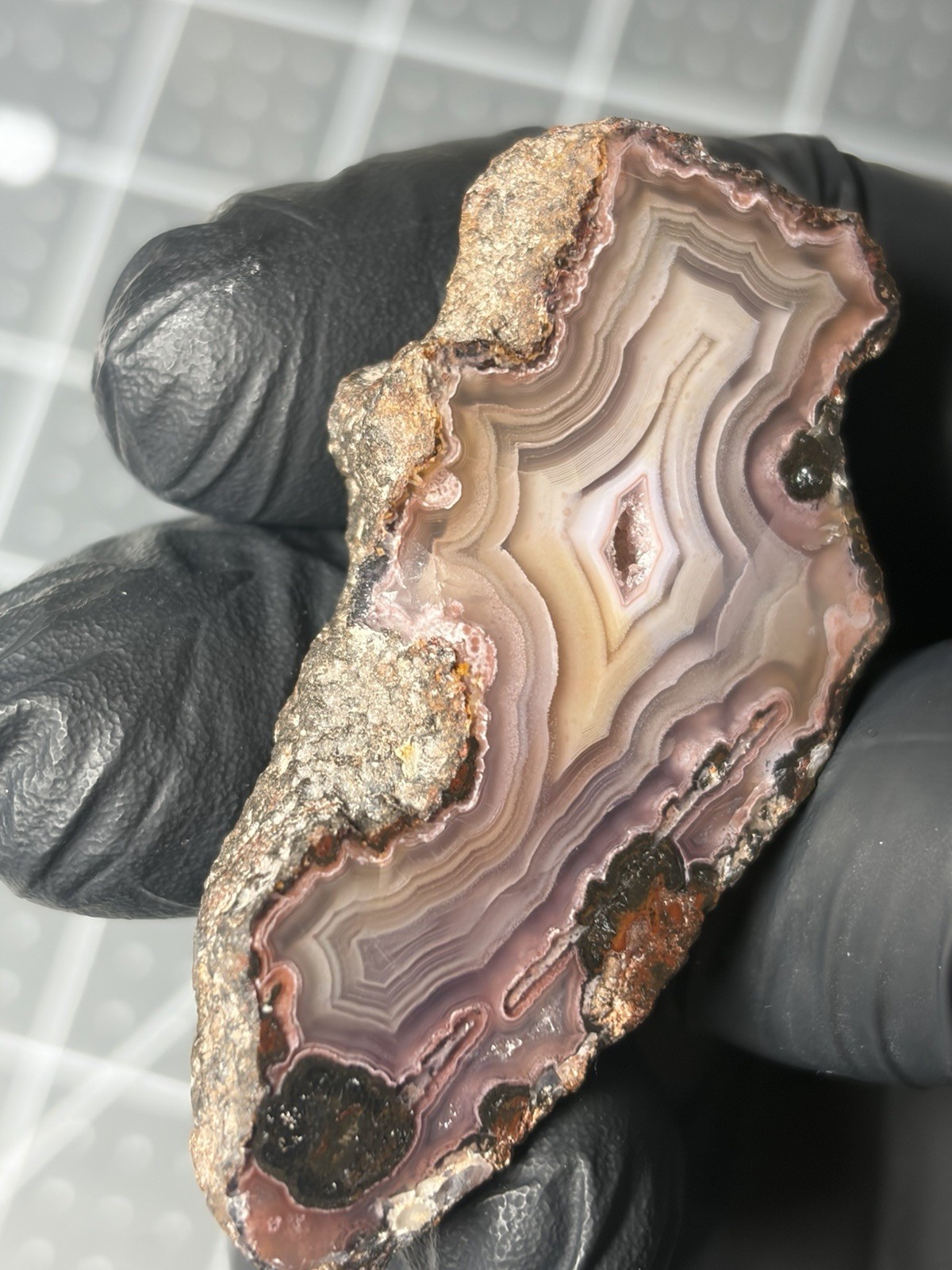 Excellent Purple Picacho Agate Mexico Banding Polished Specimen Laguna