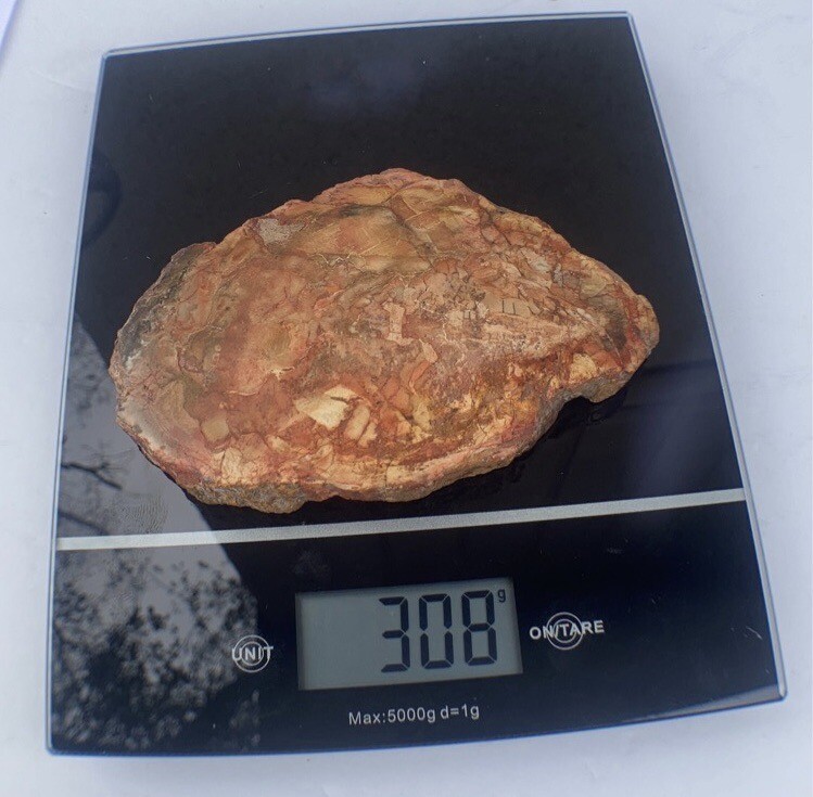 Petrified Wood Slab 308 Gram/both Sides Polished,Bark Ring On/Beautiful Specimen