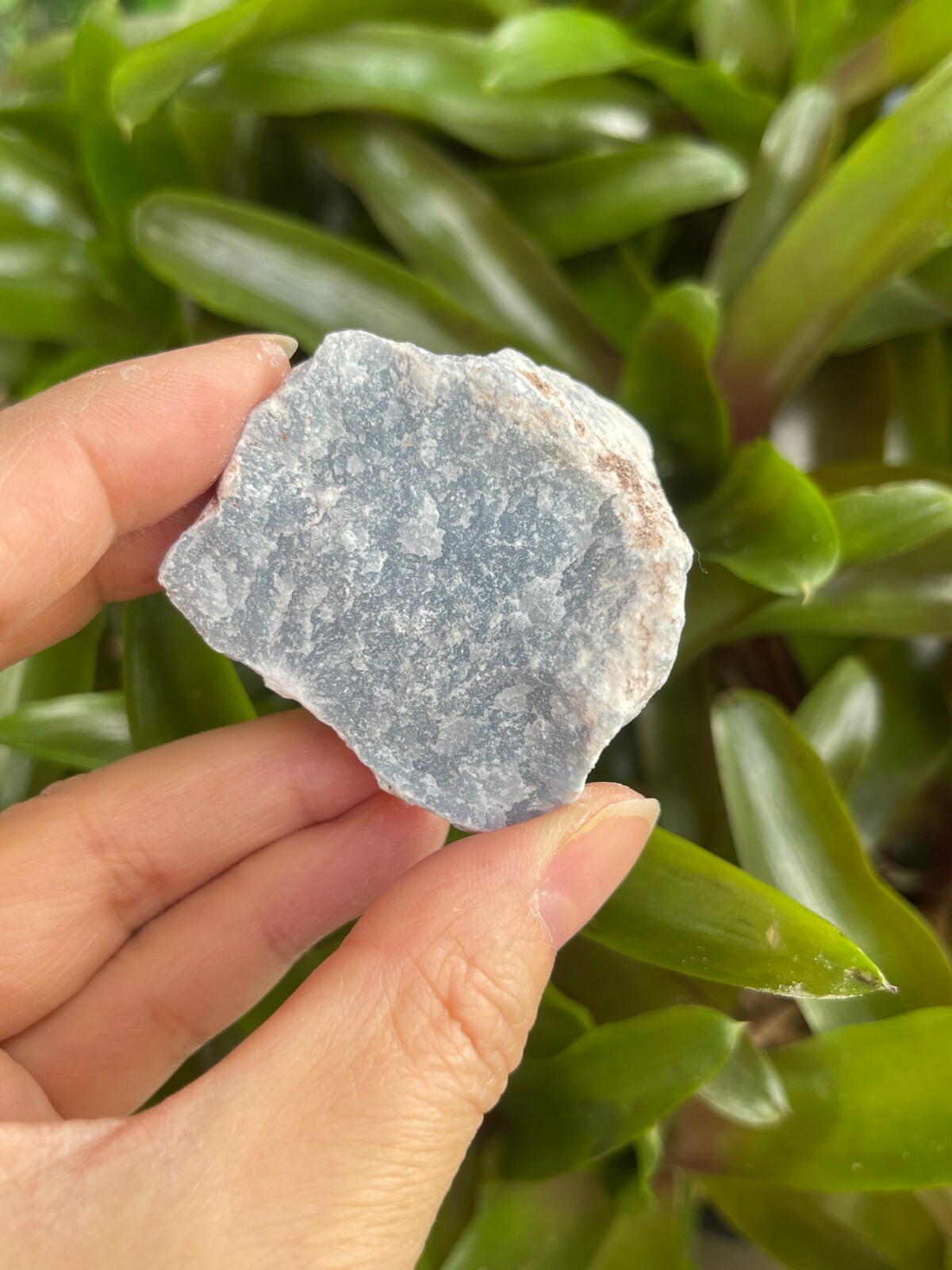 Angelite Raw Stone 1.5-2 Inches, Natural Rough Angelite, Wholesale Bulk Lot