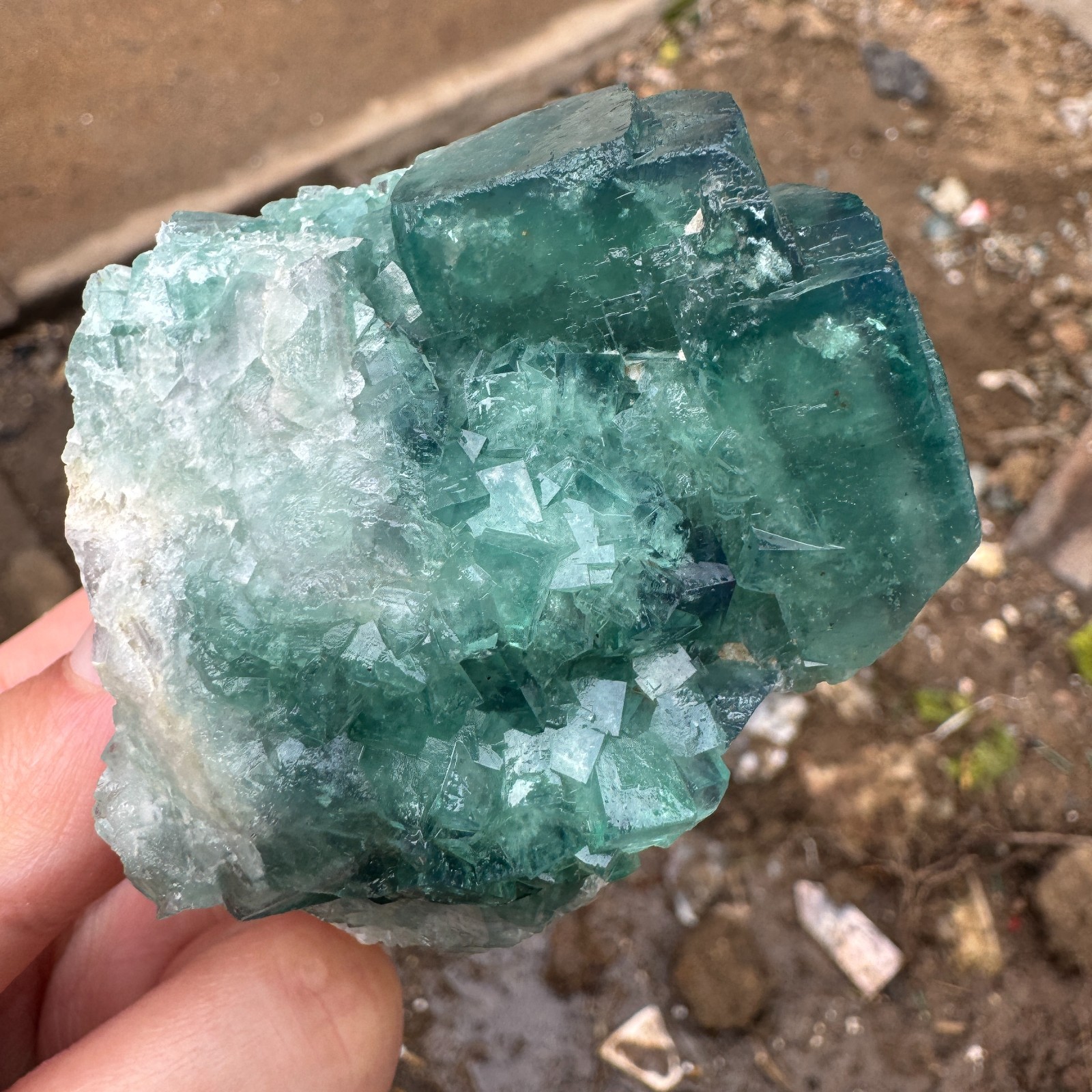 220G Natural cubic green fluorite crystal cluster rough mineral specimen Healing