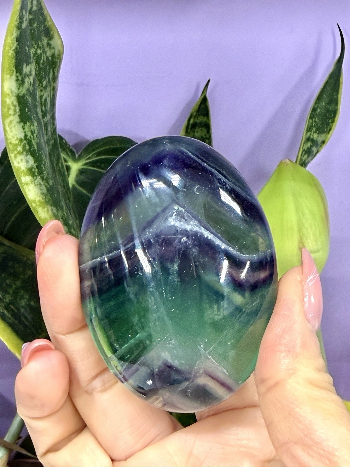 Wholesale Lot 8 Pcs Natural Rainbow Fluorite Palm Stone Crystal Healing