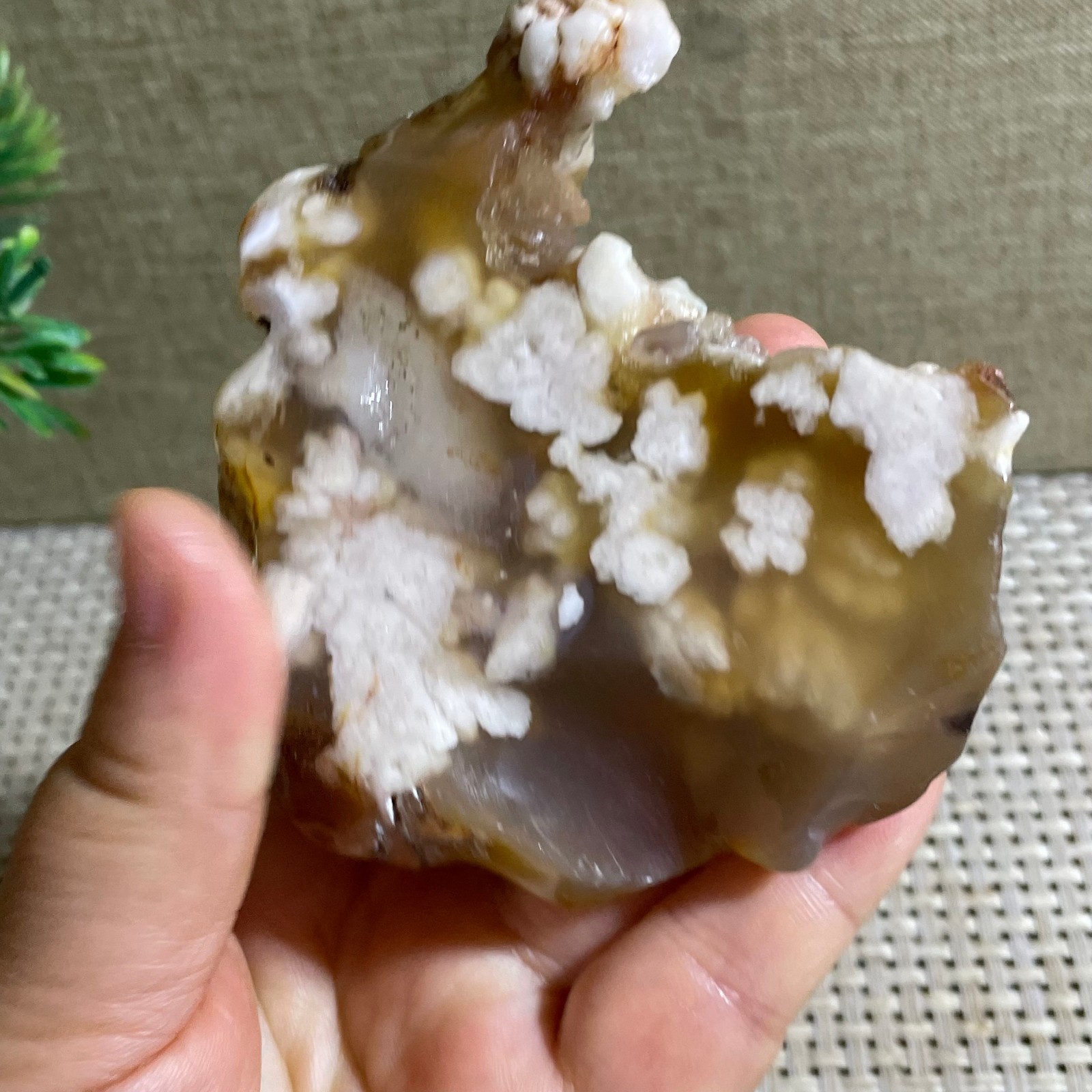 Sakura Agate Blossom Facet Rough Specimen Madagascar 186g g42