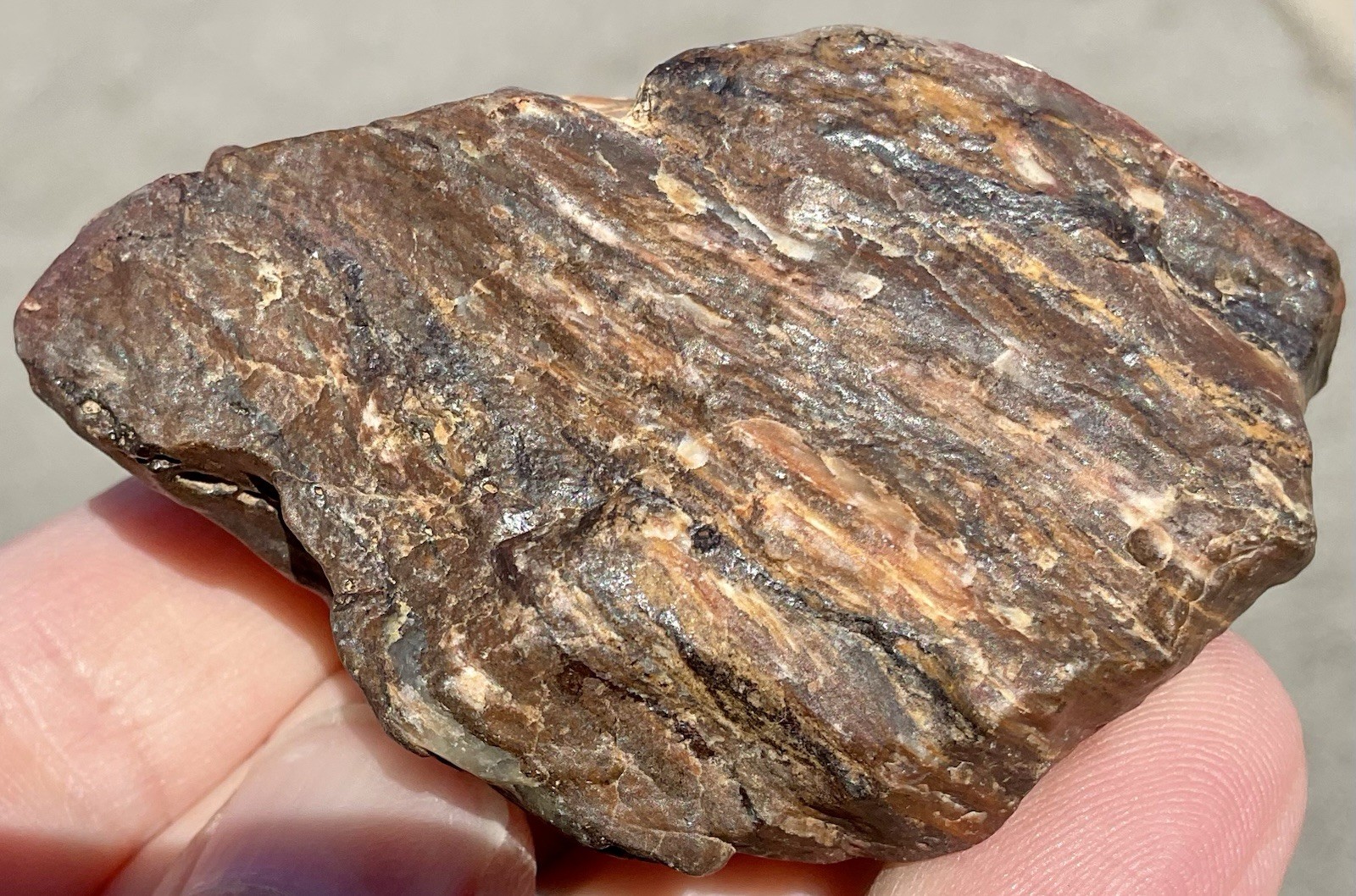 141g Banded Iron Petrified Wood Pseudomorph Rare Minnesota Rough Lapidary