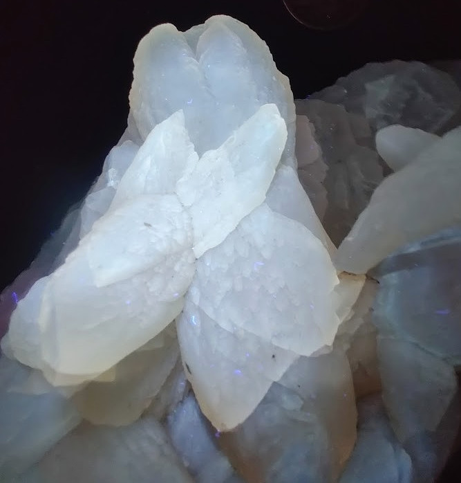 XXL Pink & White UV-Reacting Calcite Specimen: 2lb Museum Grade, See VIDEO