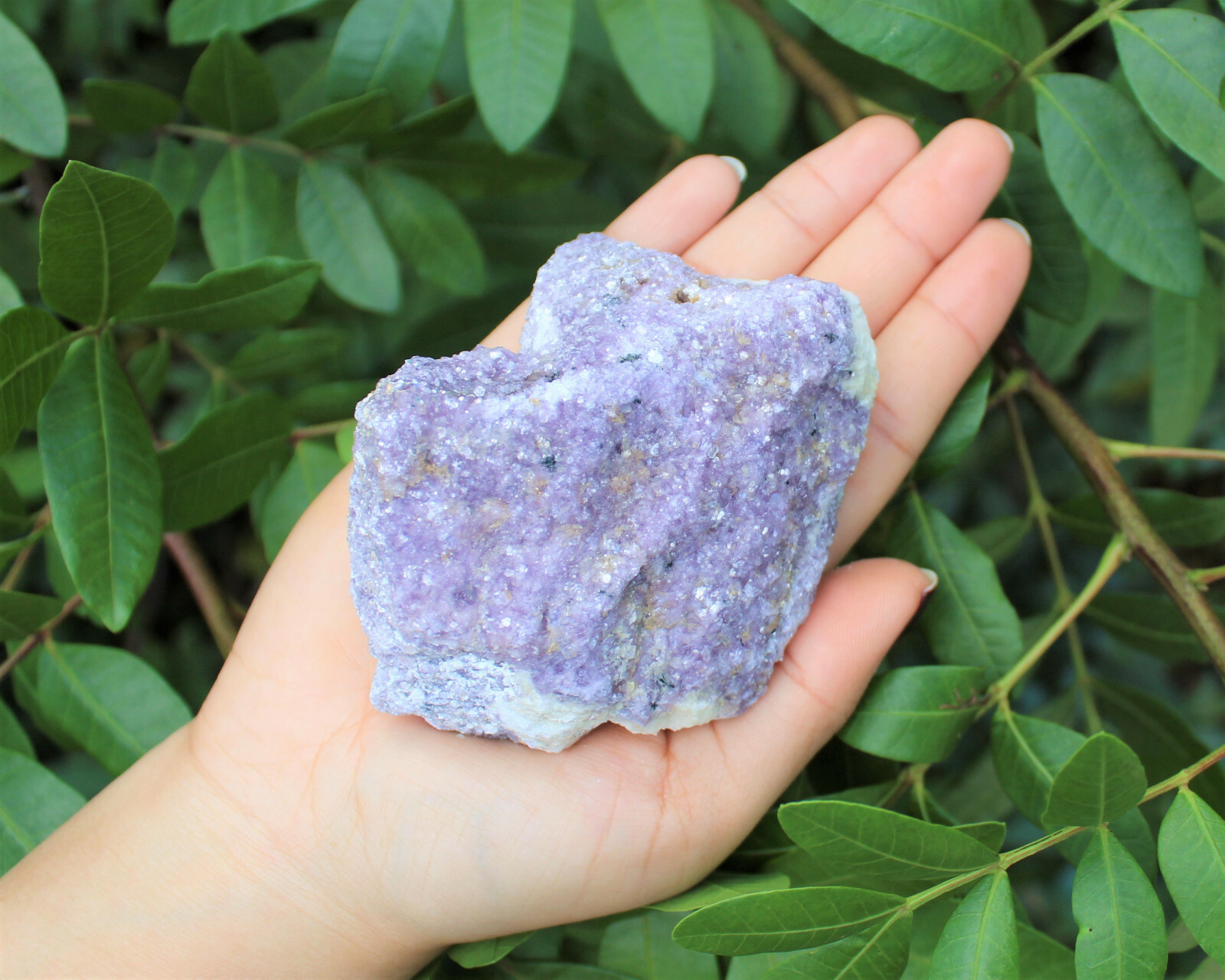 JUMBO Rough Lepidolite: 3″ – 5″ Huge Raw Natural Lepidolite Healing Crystals