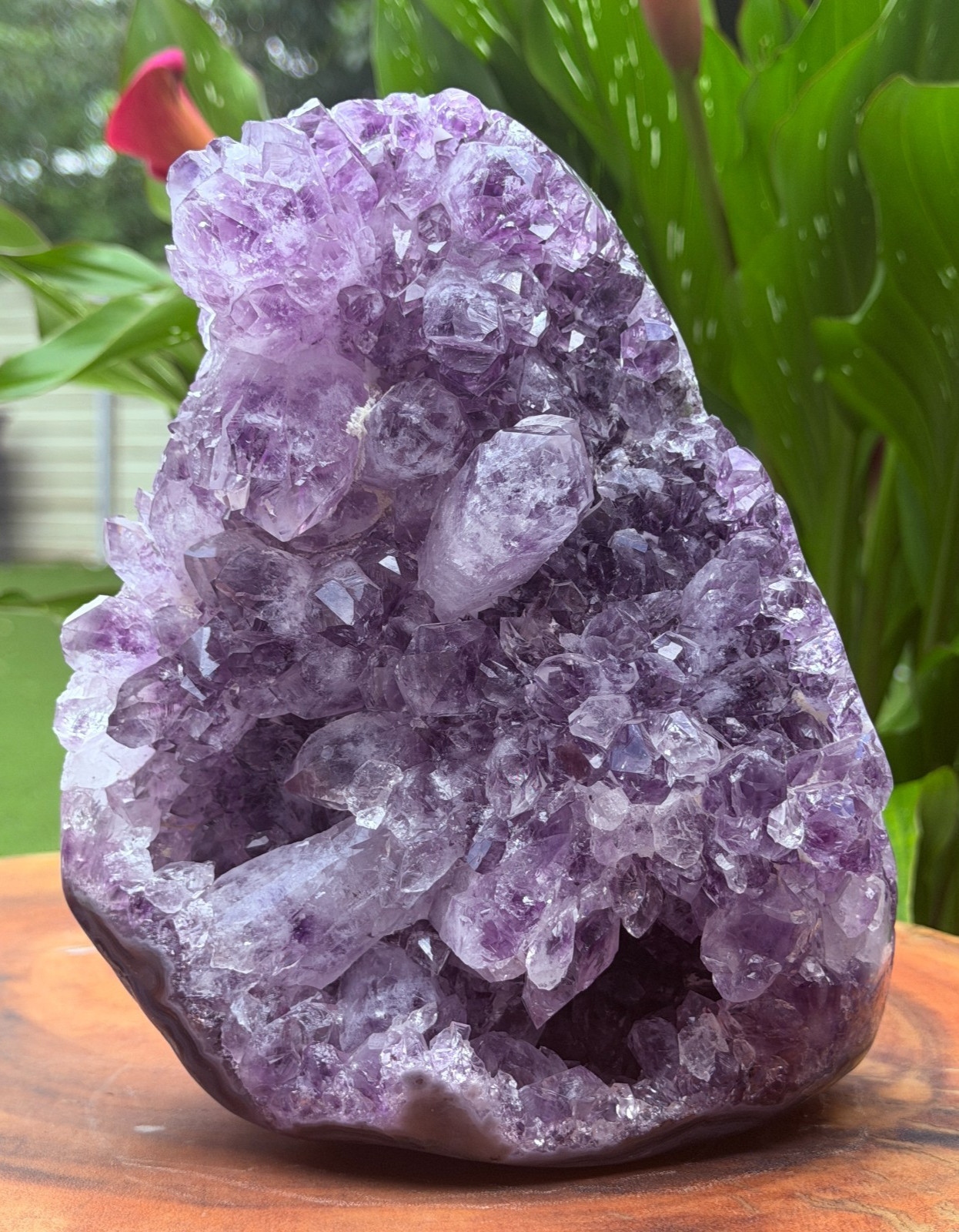 Massive Museum Grade Amethyst Geode Specimen 3.49kg Serra do Sol Brazil