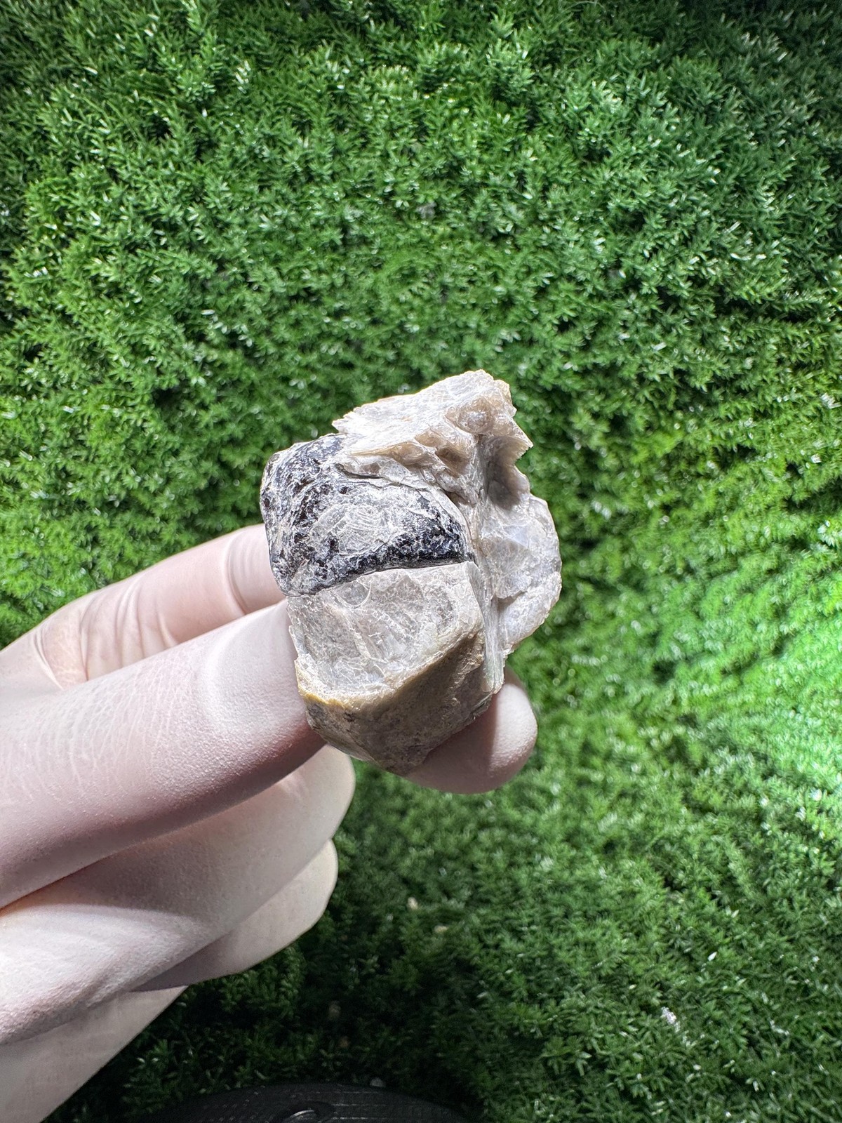 RARE BLACK TOURMALINE – from Vitosha Mountain / N830