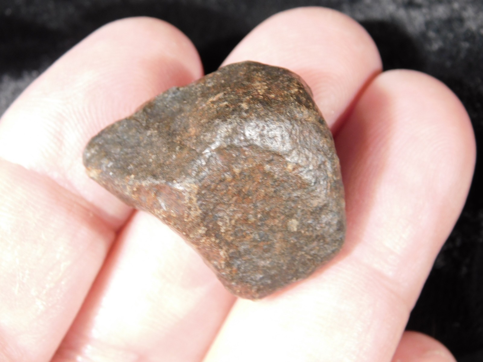 Small Stony METEORITE With Dark Fusion Crust 100% Natural Fell in Libya 17.0gr