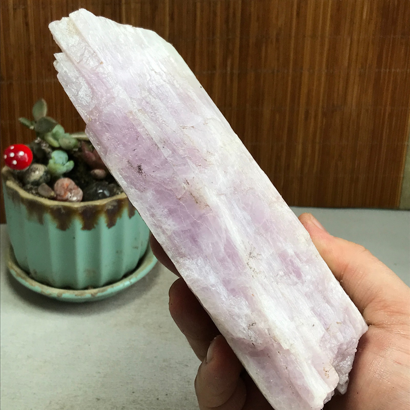 170-78-40mm NATURAL ROUGH KUNZITE PINK SPODUMENE CRYSTALS 830g A4613