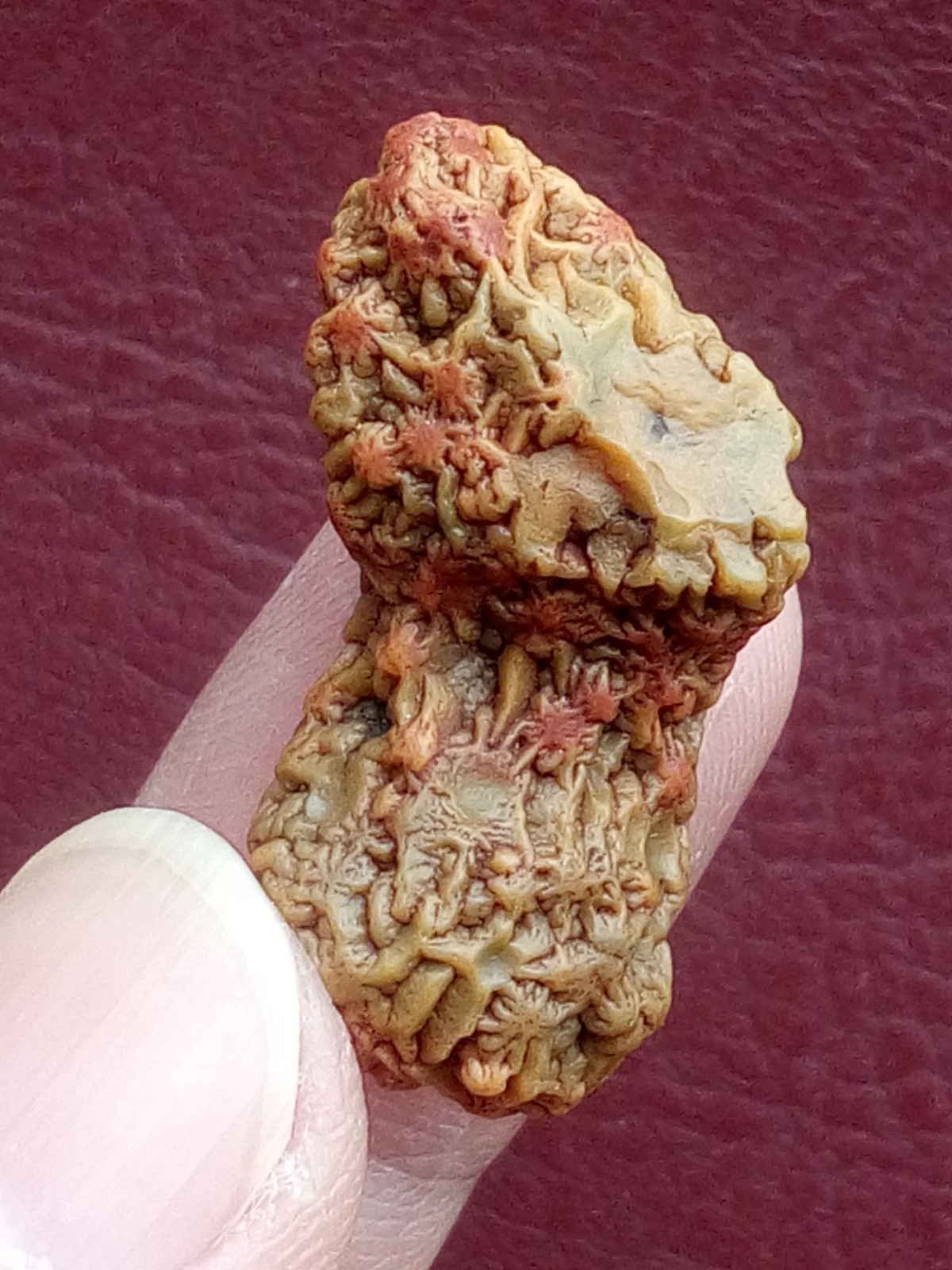 5 pieces Beautiful Natural GoBi agate veins agate Landscape stone