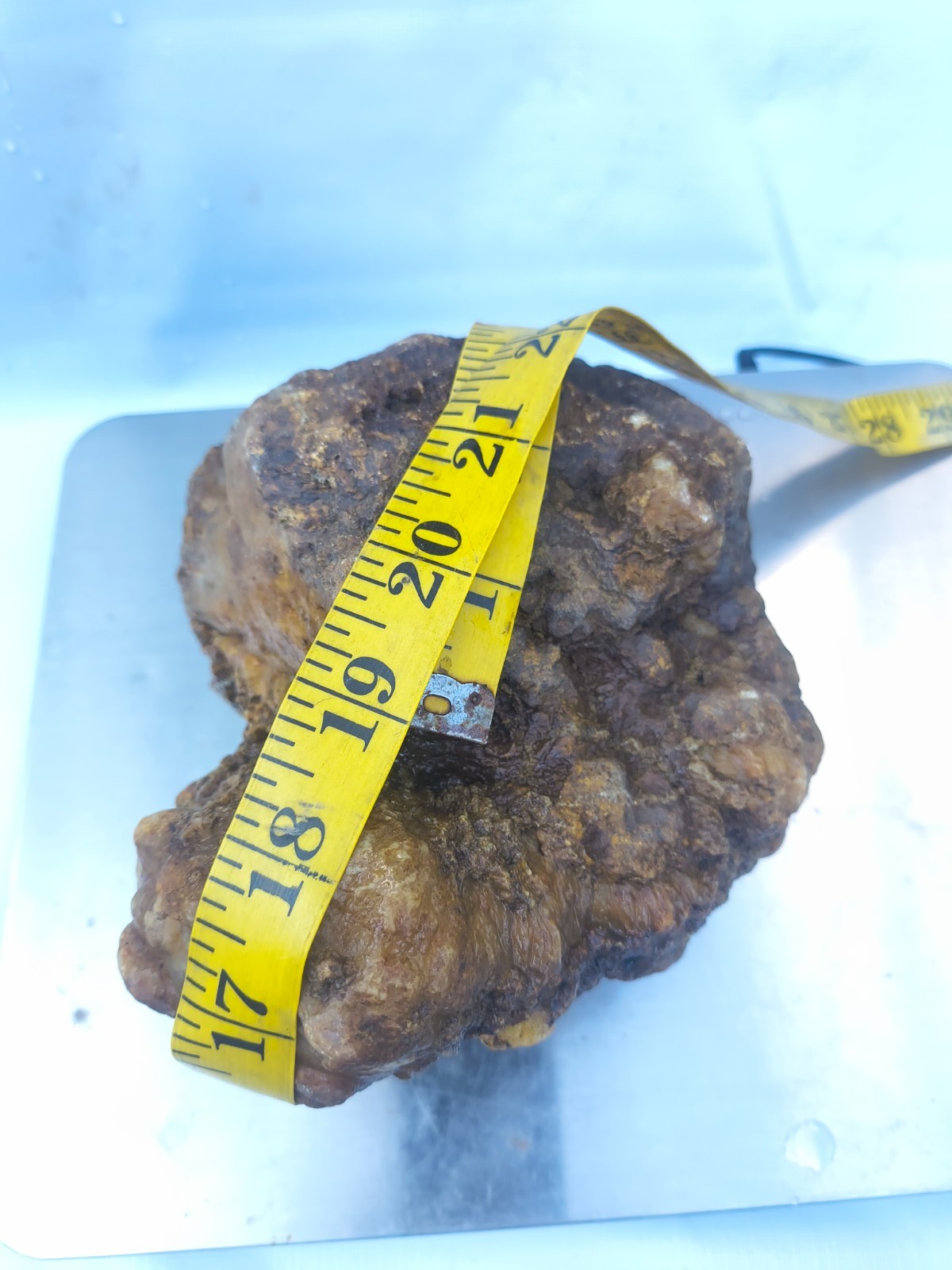7.06 lb Kentucky Geode Unopened Large Natural Crystal Geode 8″ Feels Hollow