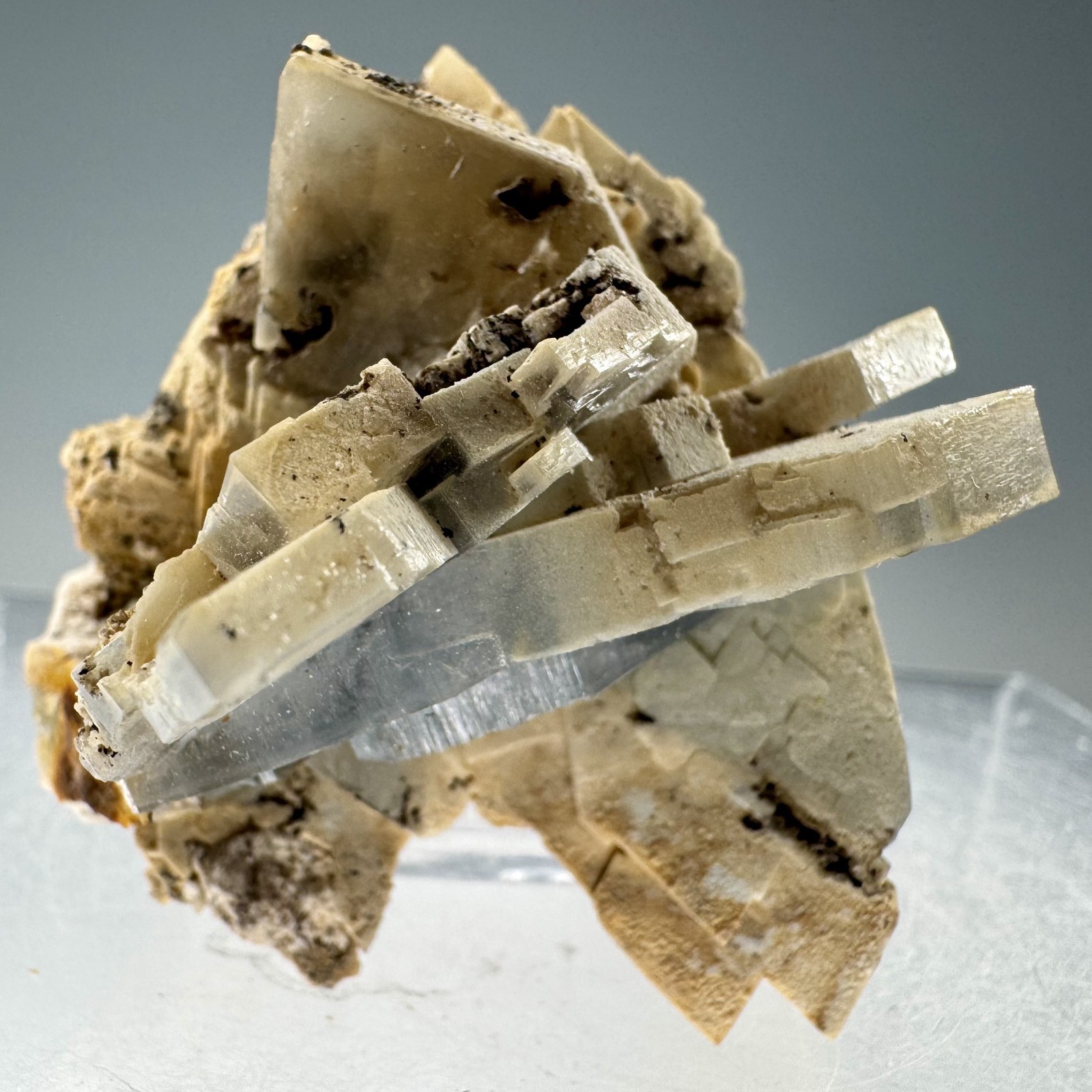Fine Baryte Crystal Group: Paga No. 1 Mine, Cartersville, Georgia- Classic!!