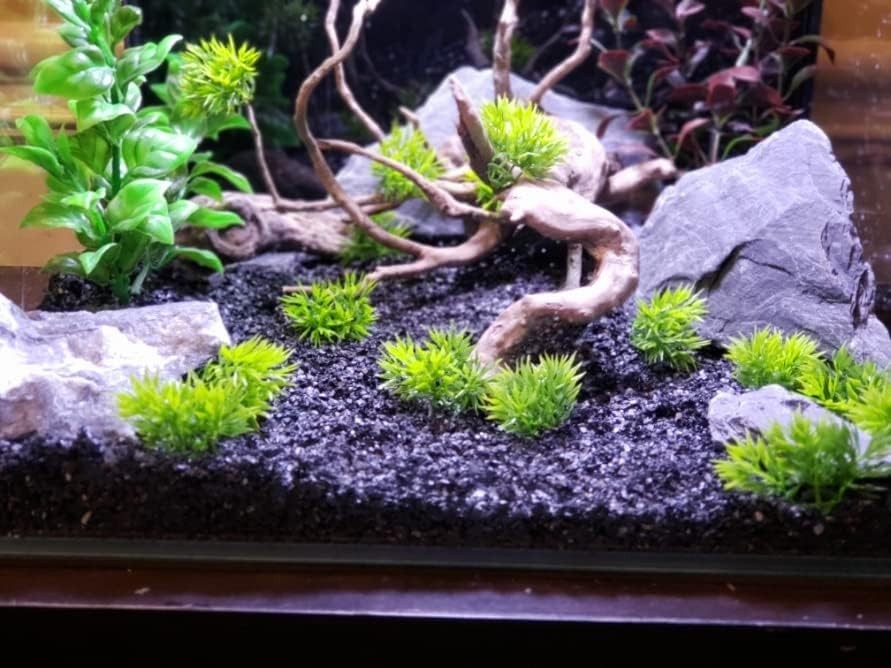 Aquascaping Slate Stones 5 to 7 Inches Grey Color for Aquariums and Terrariums