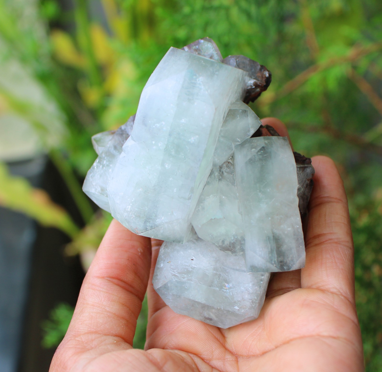 GREEN APOPHYLLITE CRYSTALS MINERALS SPECIMEN