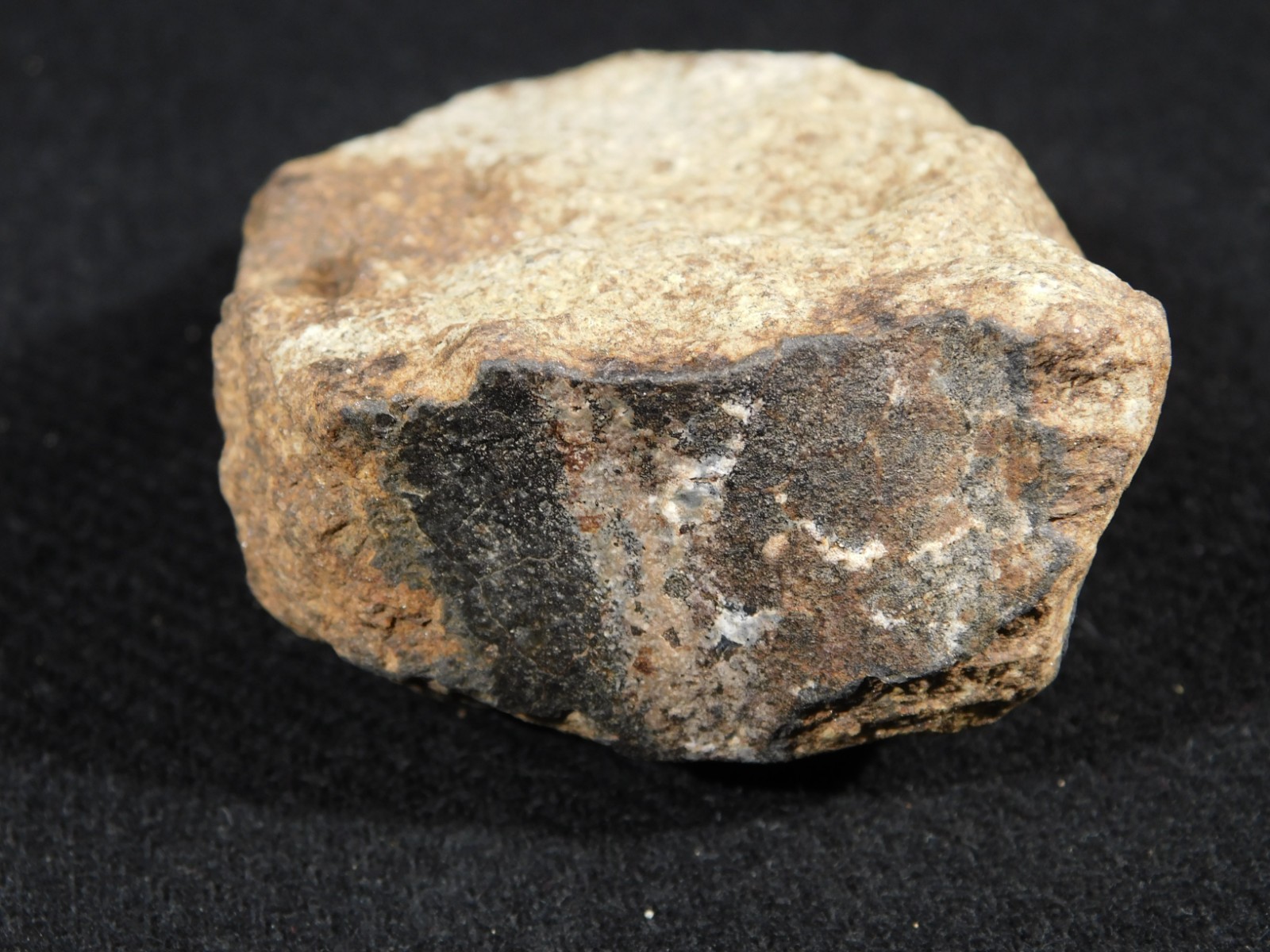 Larger Classified NWA 8245 METEORITE 100% Natural! Erfoud, Morocco 207gr