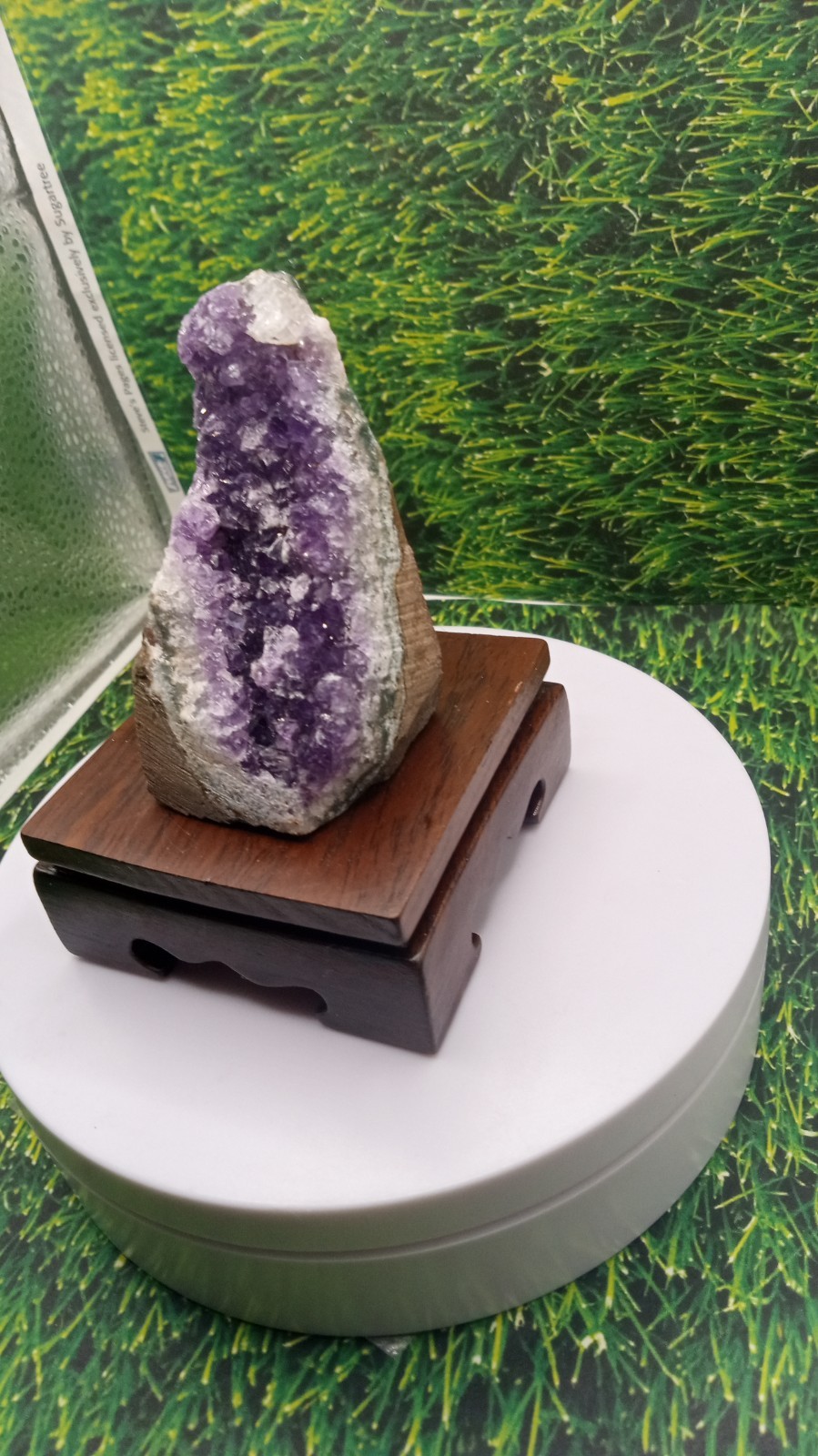 Beautiful Amethyst from Uruguay on Cherry Wood Stand ~