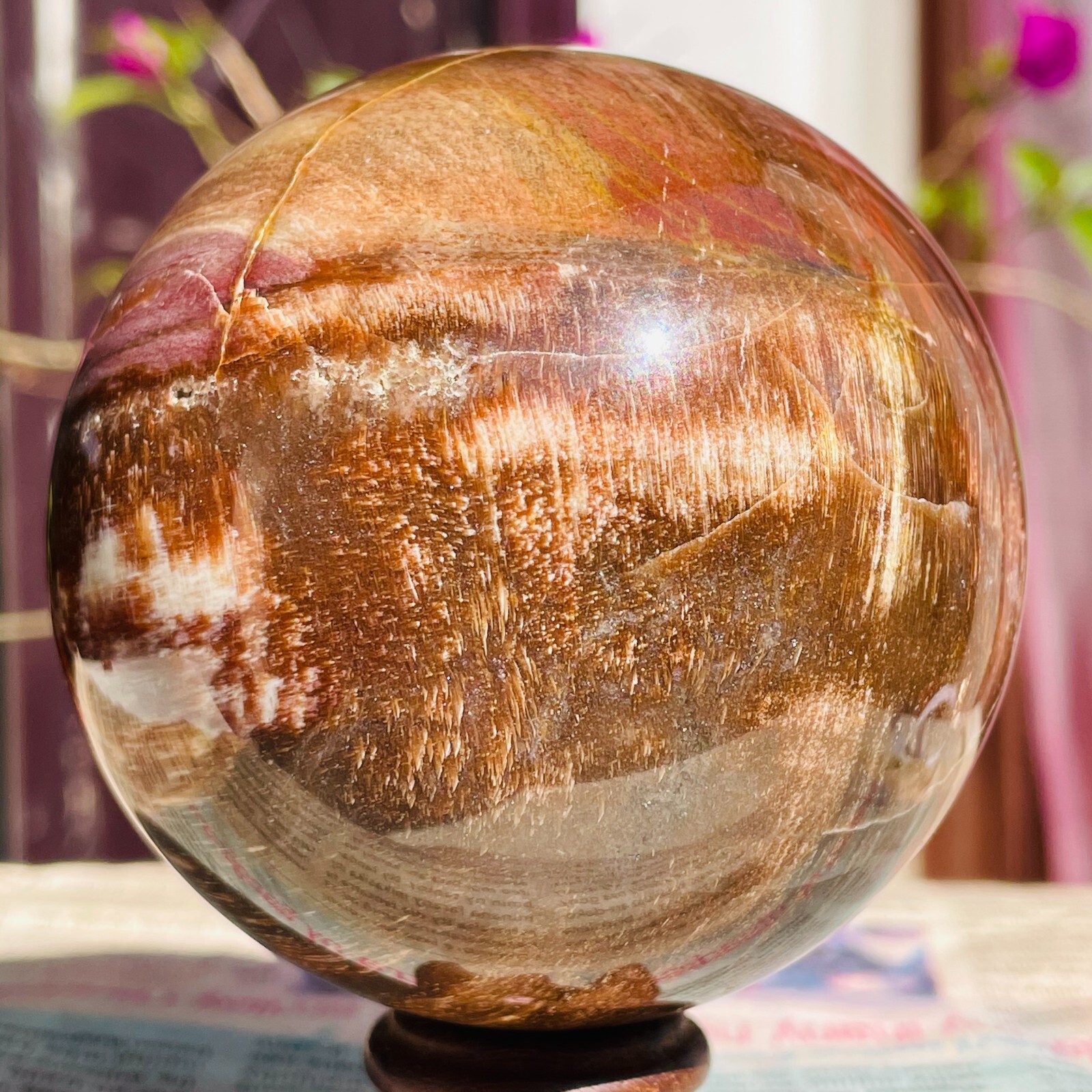 640g Natural Red Petrified Wood Crystal Ball Fossil Polished Sphere Specimen