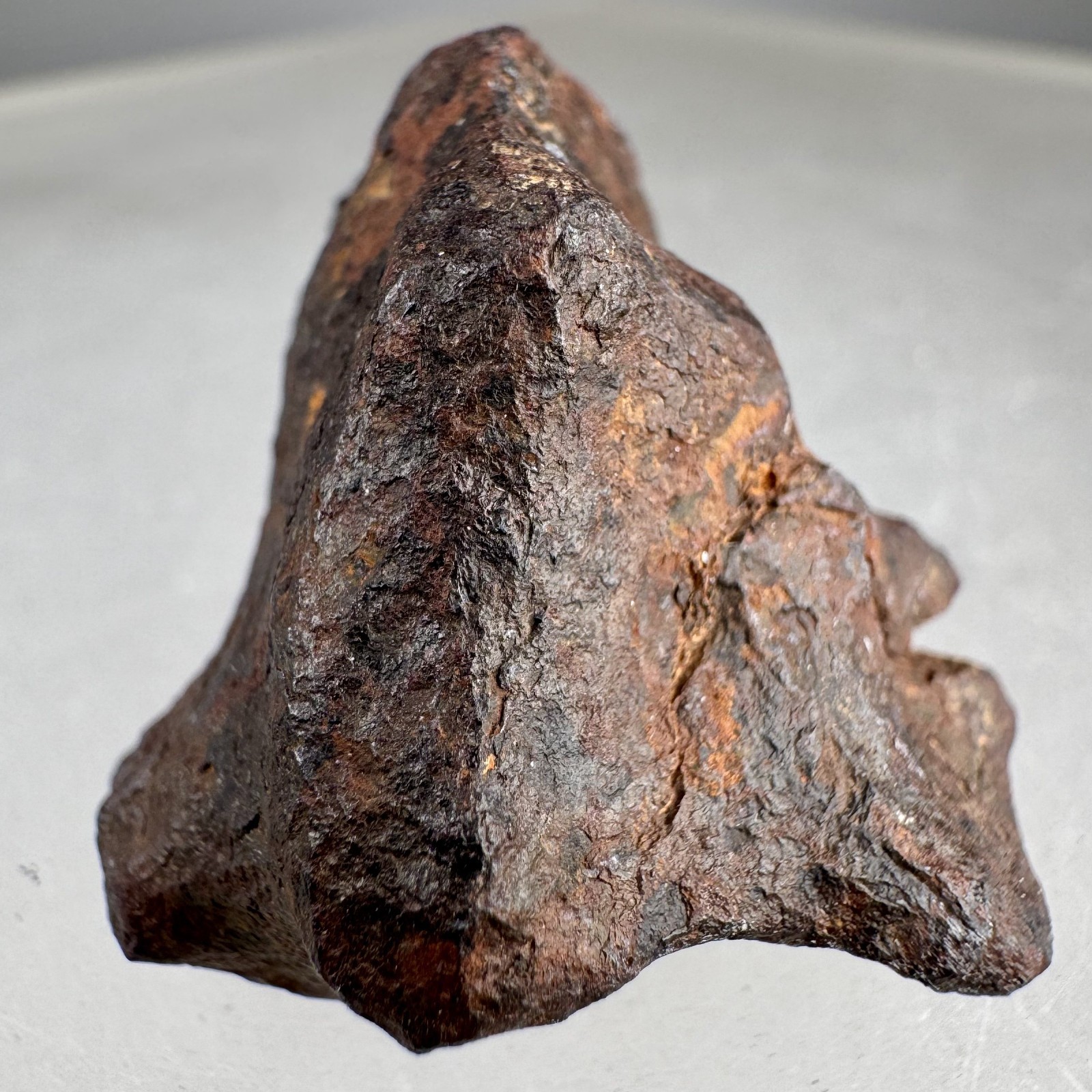 Iron Meteorite: Mundrabilla meteorite, Mundrabilla Roadhouse, Australia
