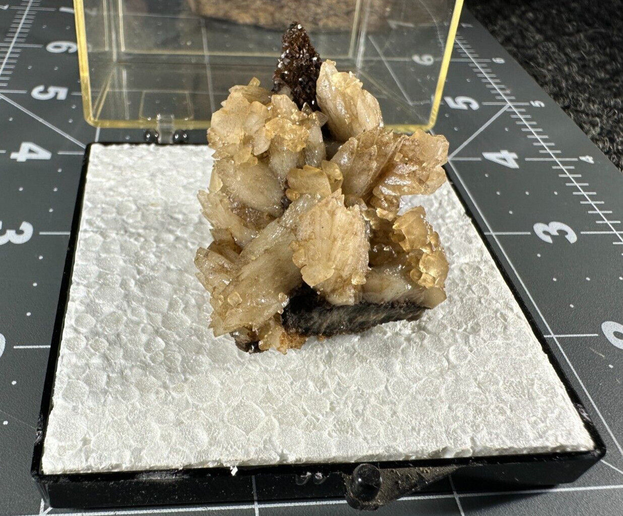 ➤ 1-7/8″ DOGTOOTH CALCITE CLUSTERS Pleasant Ridge Rensselaer Indiana VIDEO➤438
