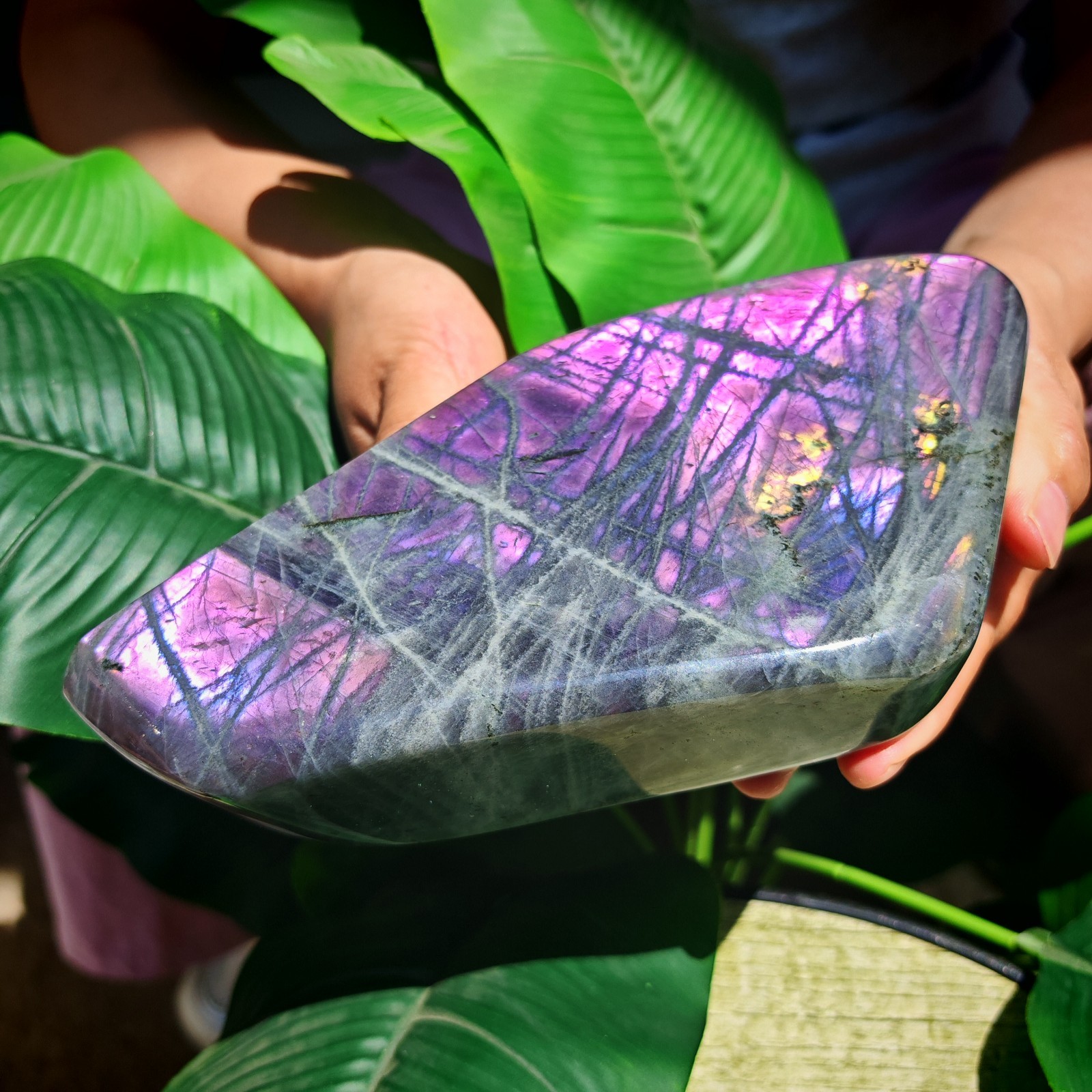 2.75LB TOP Natural Purple light labradorite quartz spectrolite crystal