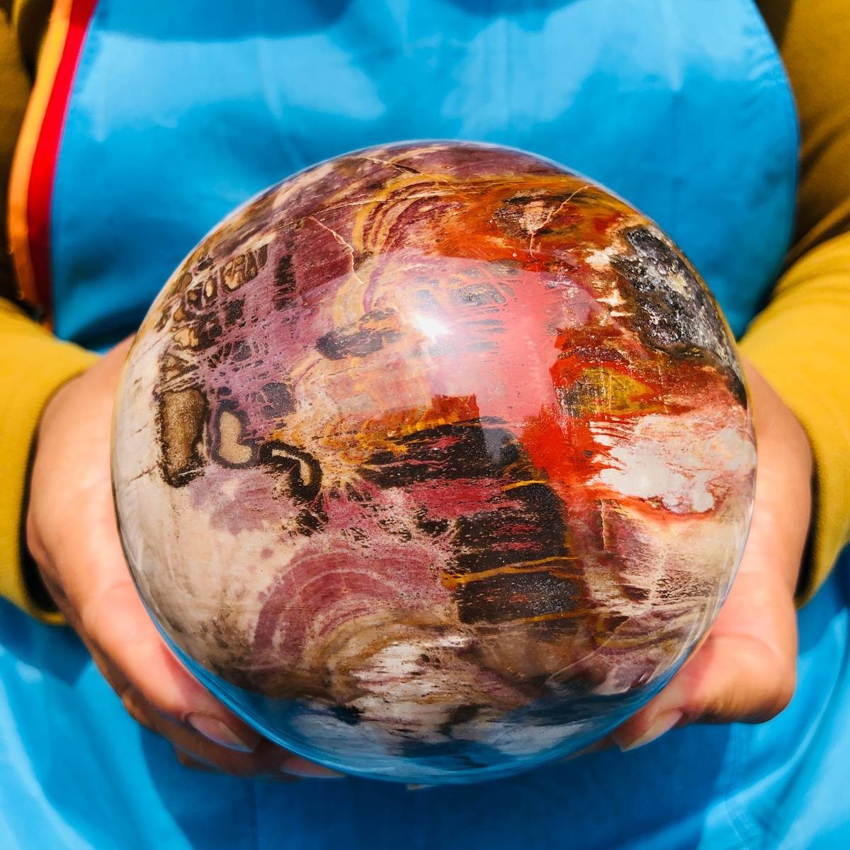 4.59LB Natural Petrified Wood Sphere Polished Crystal Ball reiki healing