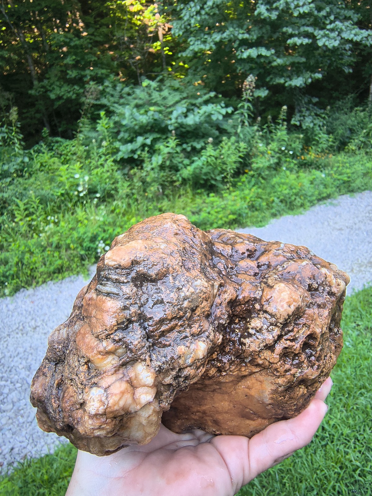 7.06 lb Kentucky Geode Unopened Large Natural Crystal Geode 8″ Feels Hollow